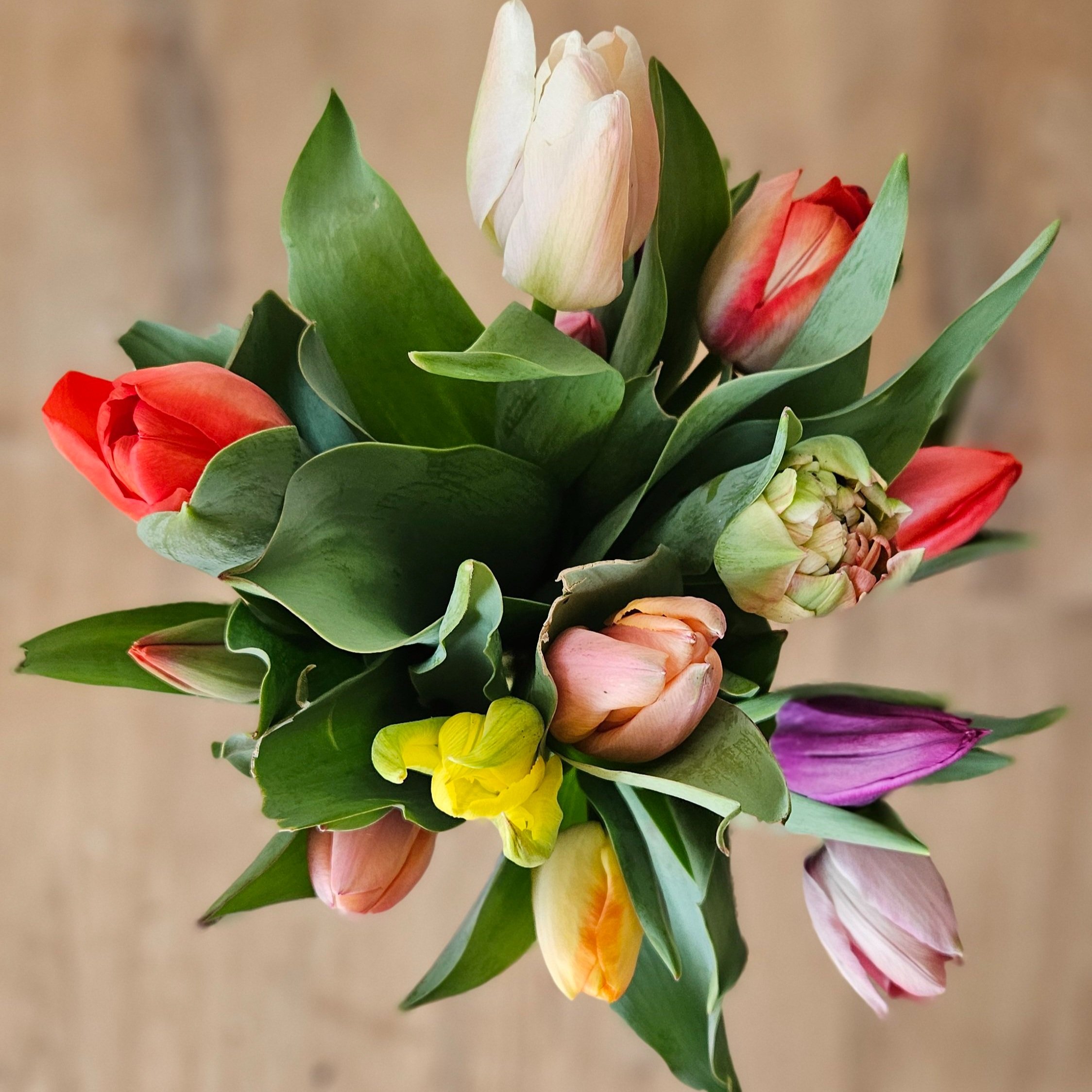 A bouquet of multicolored tulips and other flowers with green leaves, arranged in a loose cluster.