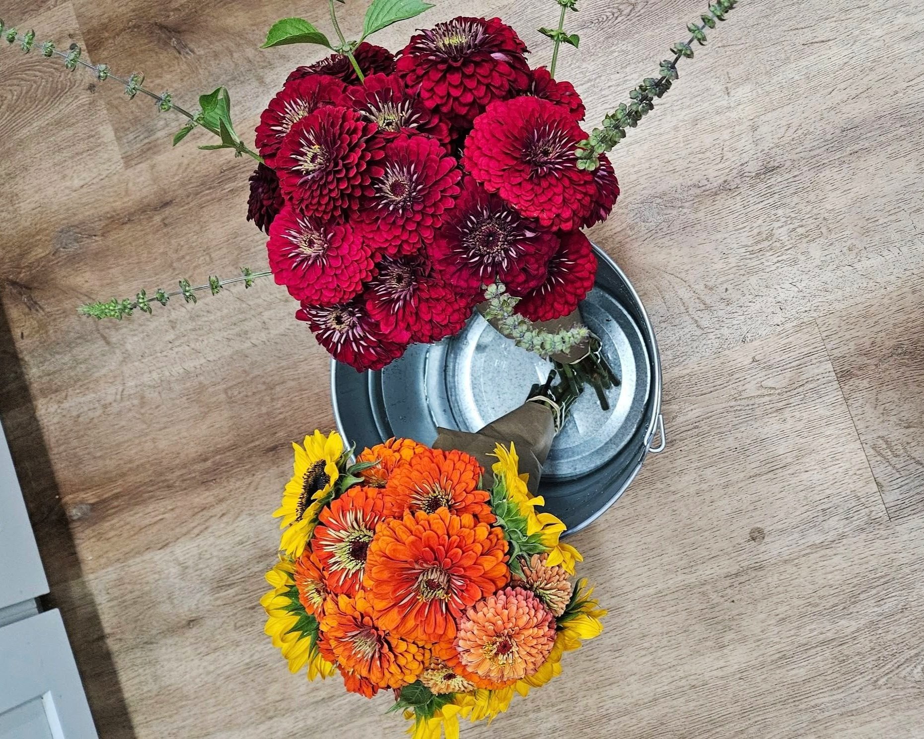 Two bouquets of sunflowers and dahlias arranged in metal buckets on a wooden floor.