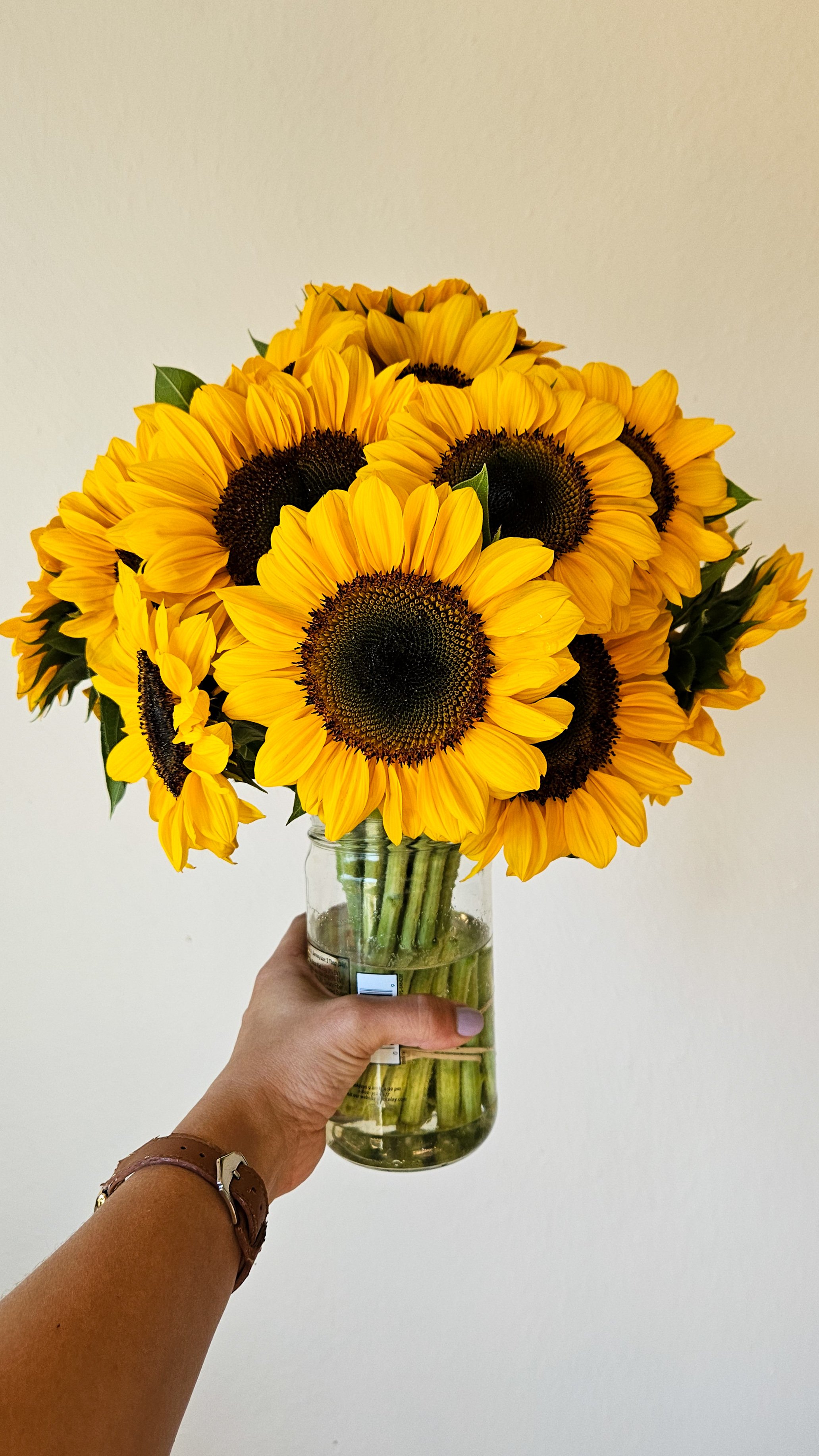 Hand holding a glass jar with a bouquet of bright yellow sunflowers against a plain white wall.