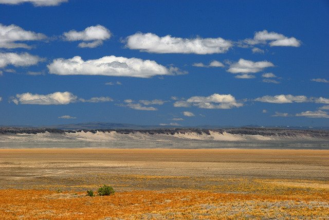 dsc_2592.jpg