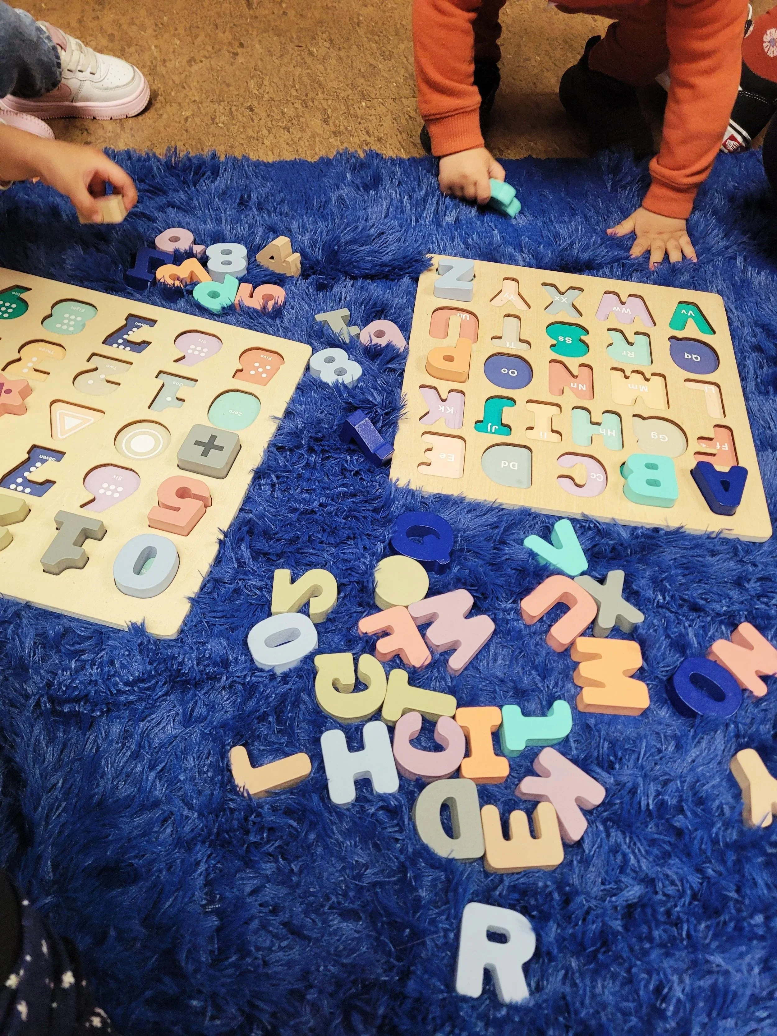 20260131_113541.jpg