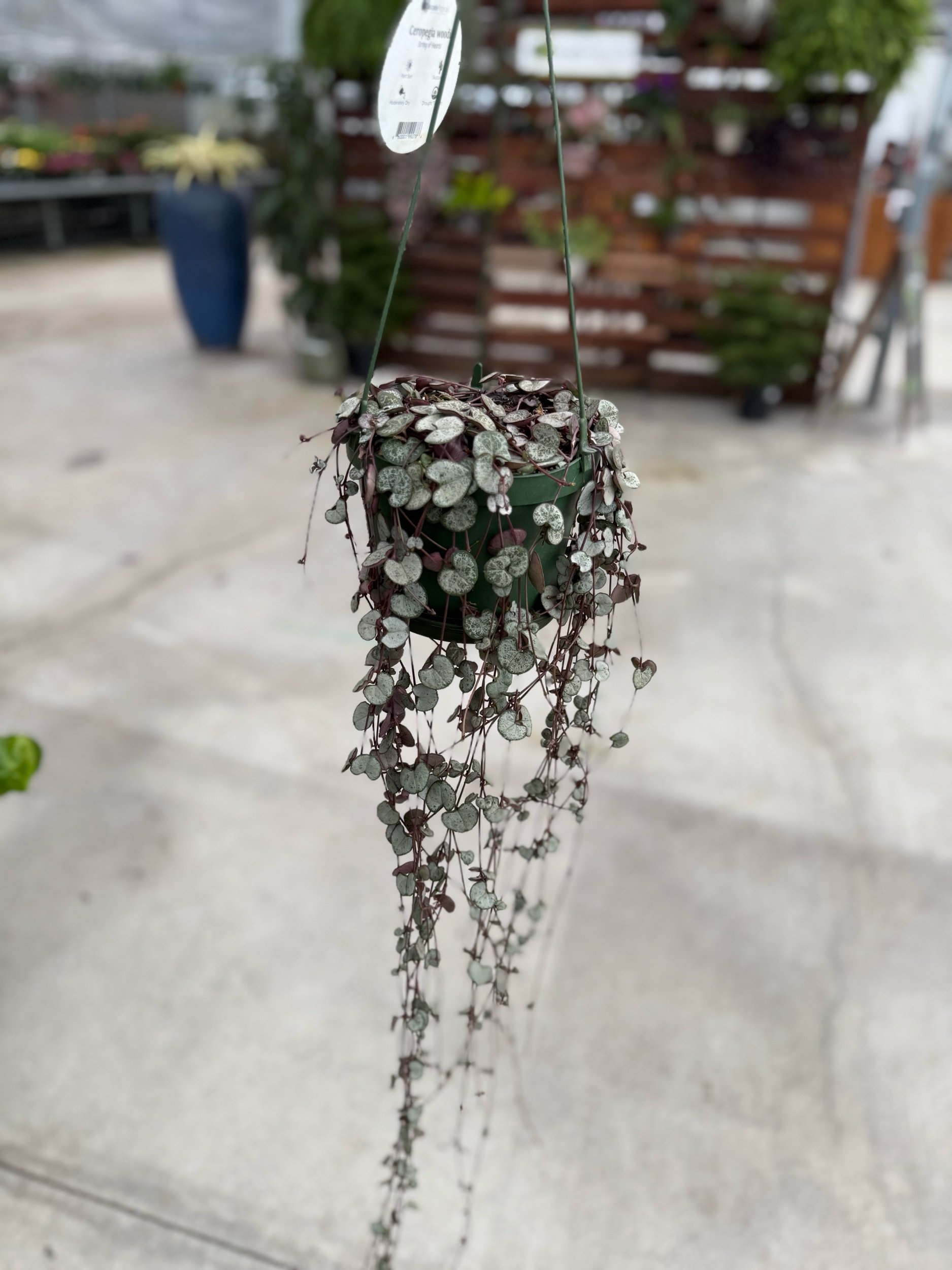 F650F558-8379-46DF-847D-14F9B6124414.jpeg