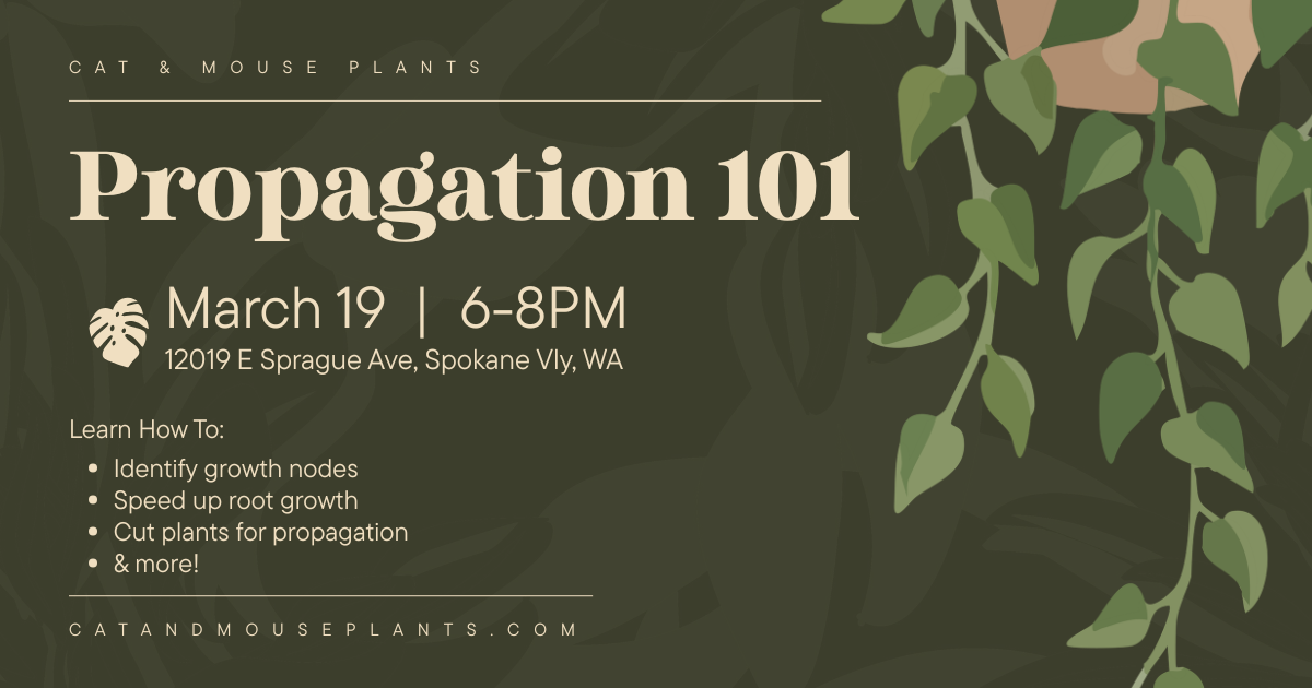 Propagation 101 Class