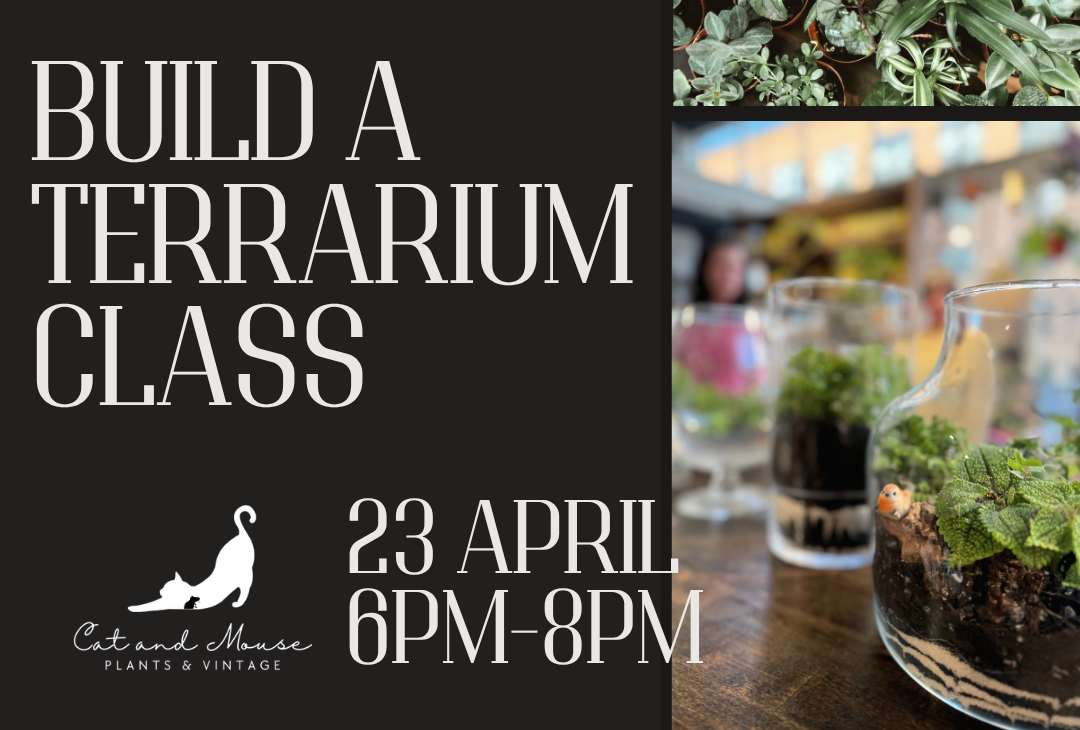 Terrarium Workshop at The Bohemian