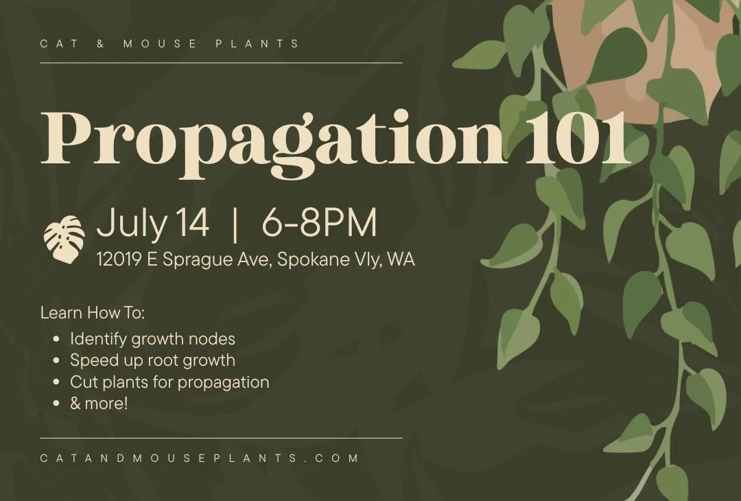 Propagation 101 Beginner's Workshop