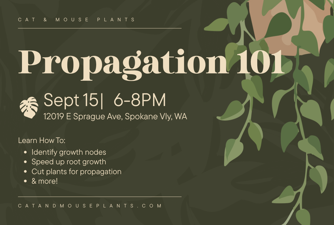 Propagation 101 Class