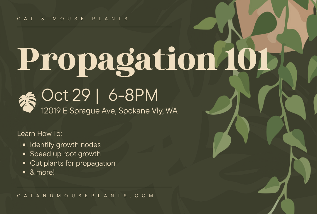 Propagation 101 Workshop