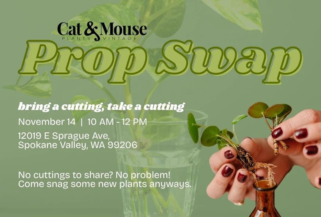 Annual Prop Swap