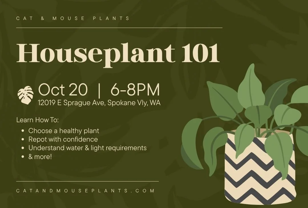 Houseplant Care 101 Workshop