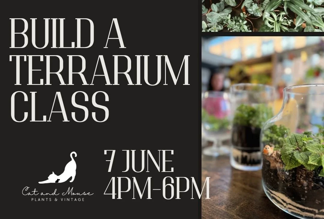 Build Your Own Terrarium Class