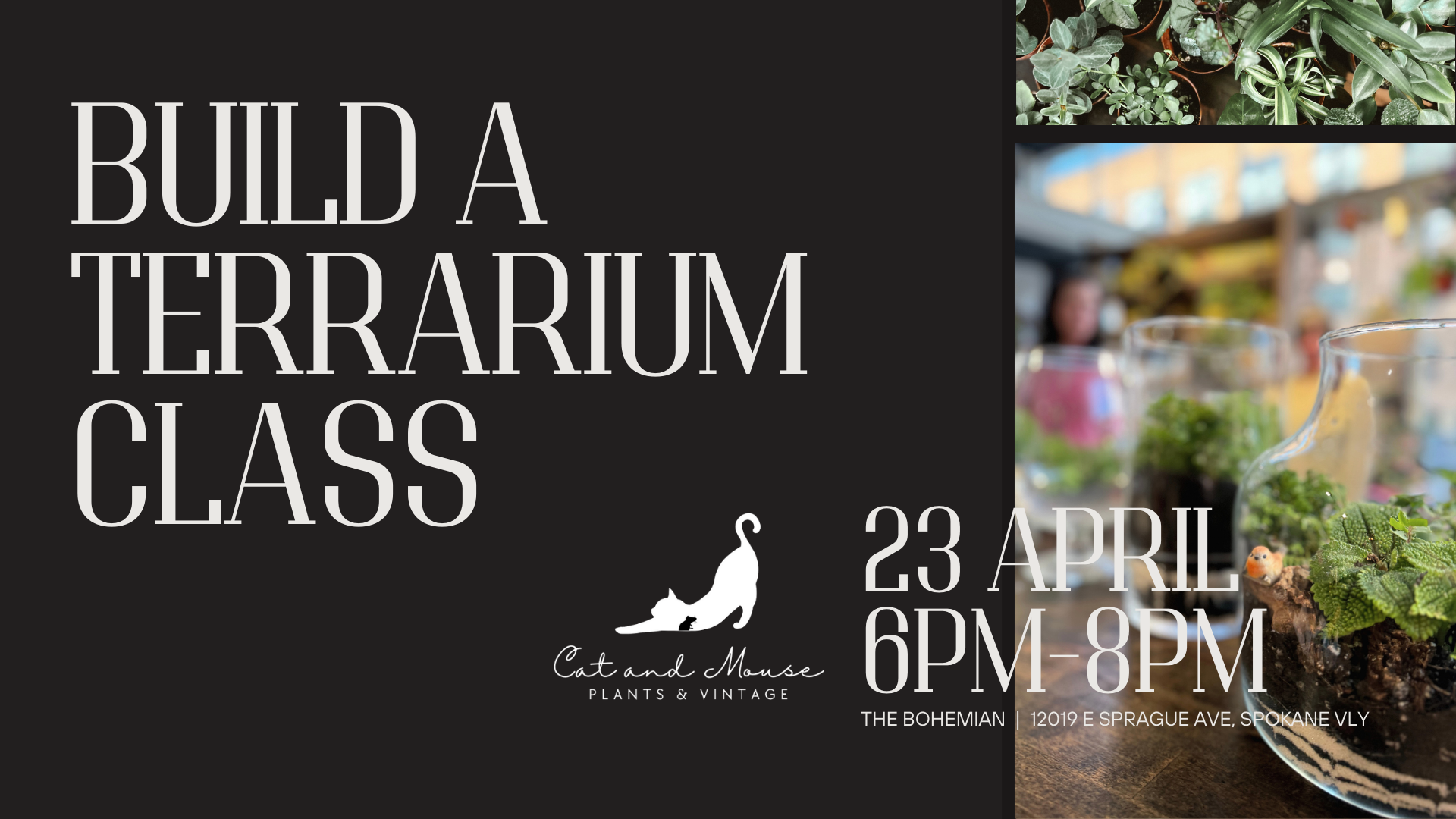 terrarium class flyer (1920 x 1080 px) (1).png