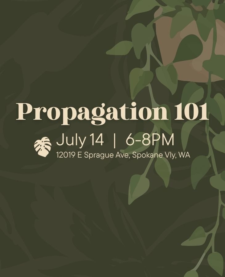 Propagation 101 shop page.jpg