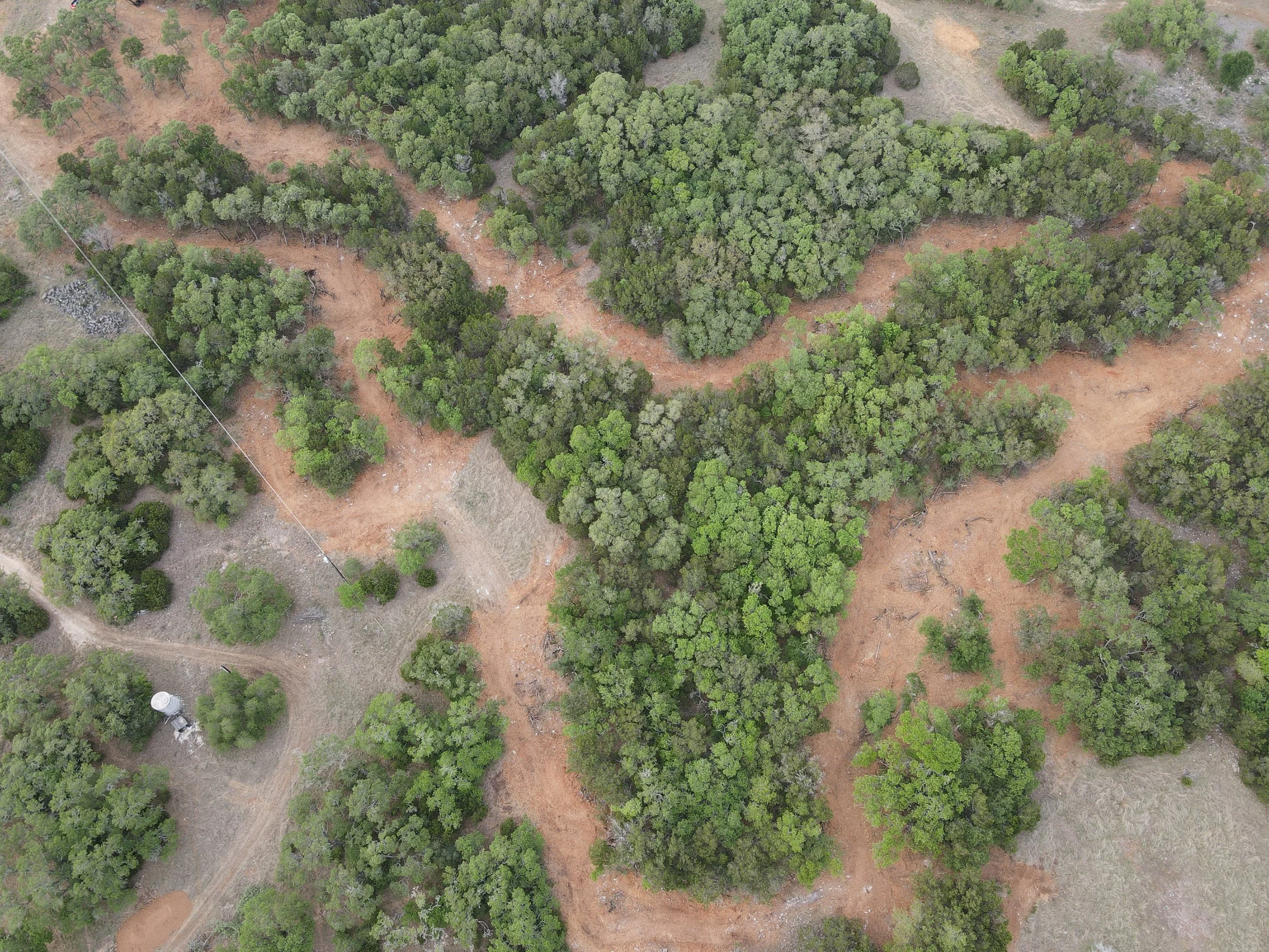 longhorn brush cutout.JPG