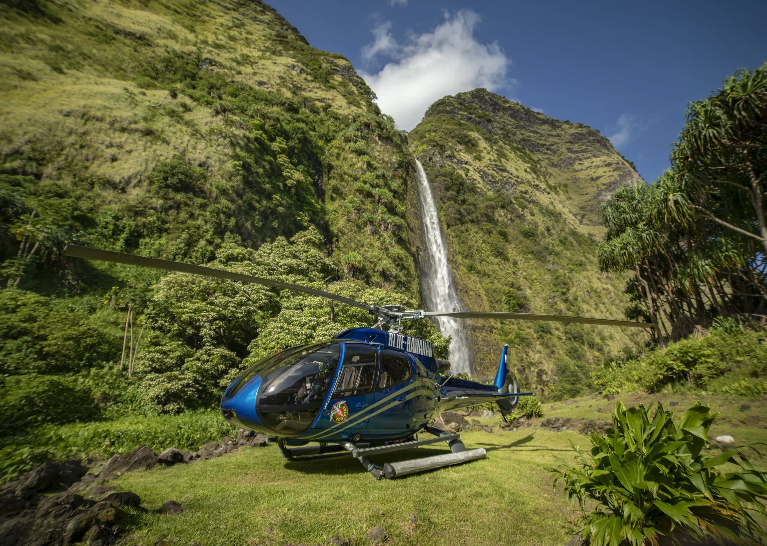 big island spec 3.jpg