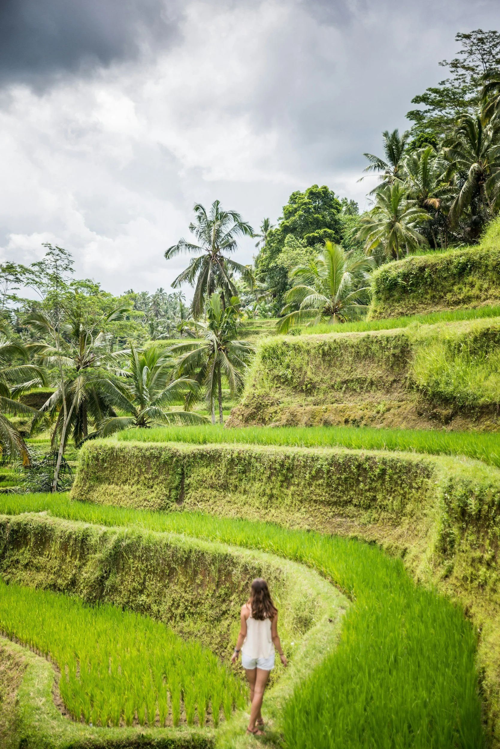 A woman walking on a narrow path through lush, green terraced rice fields surrounded by palm trees under a cloudy sky in a tropical landscape.