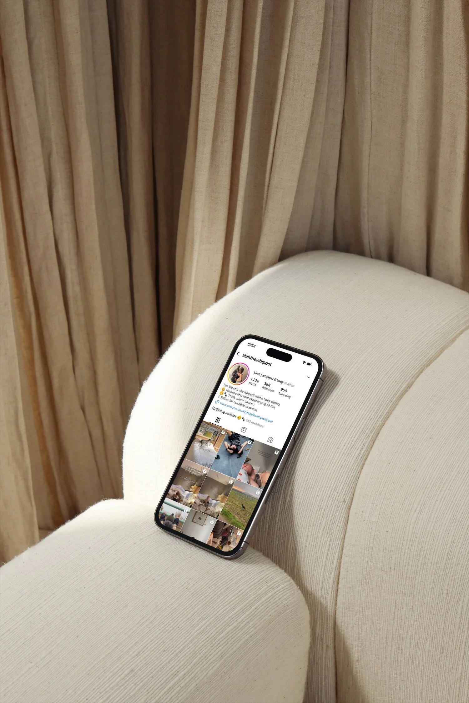 Phone showing an Instagram profile, representing 1:1 Instagram growth coaching