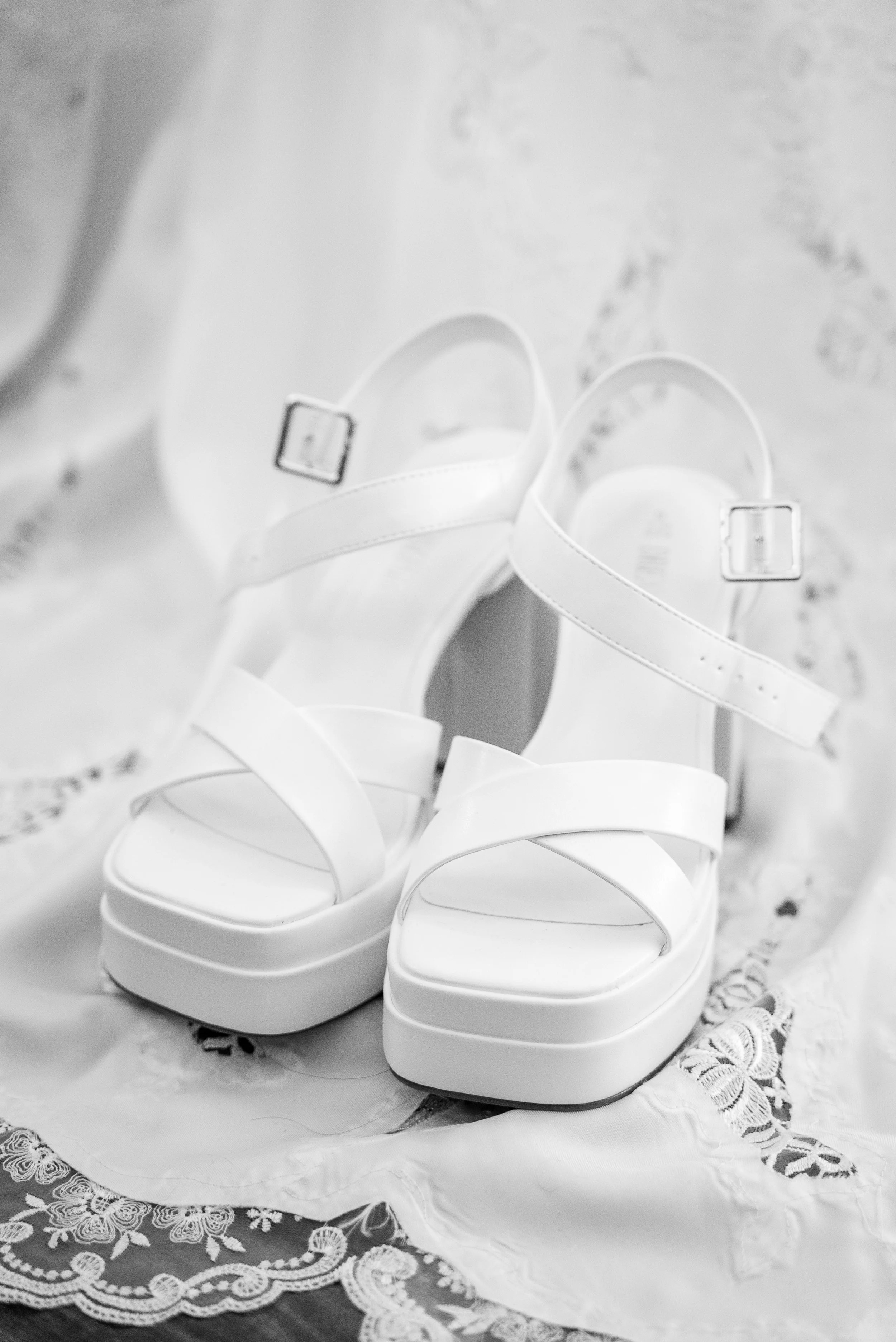 Gina + Robert - Preview Photos-2.jpg