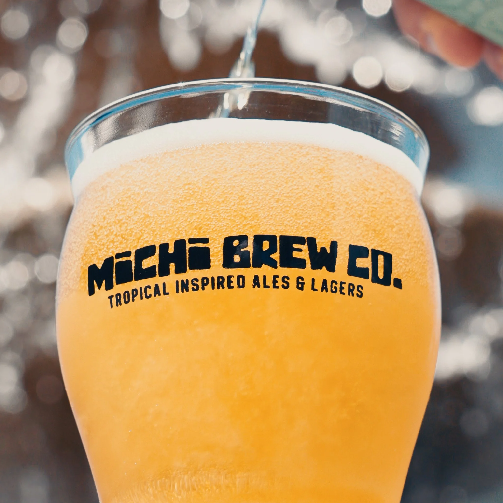 Shasta - DDH West Coast IPA | 6.8% - 4-Packs Available