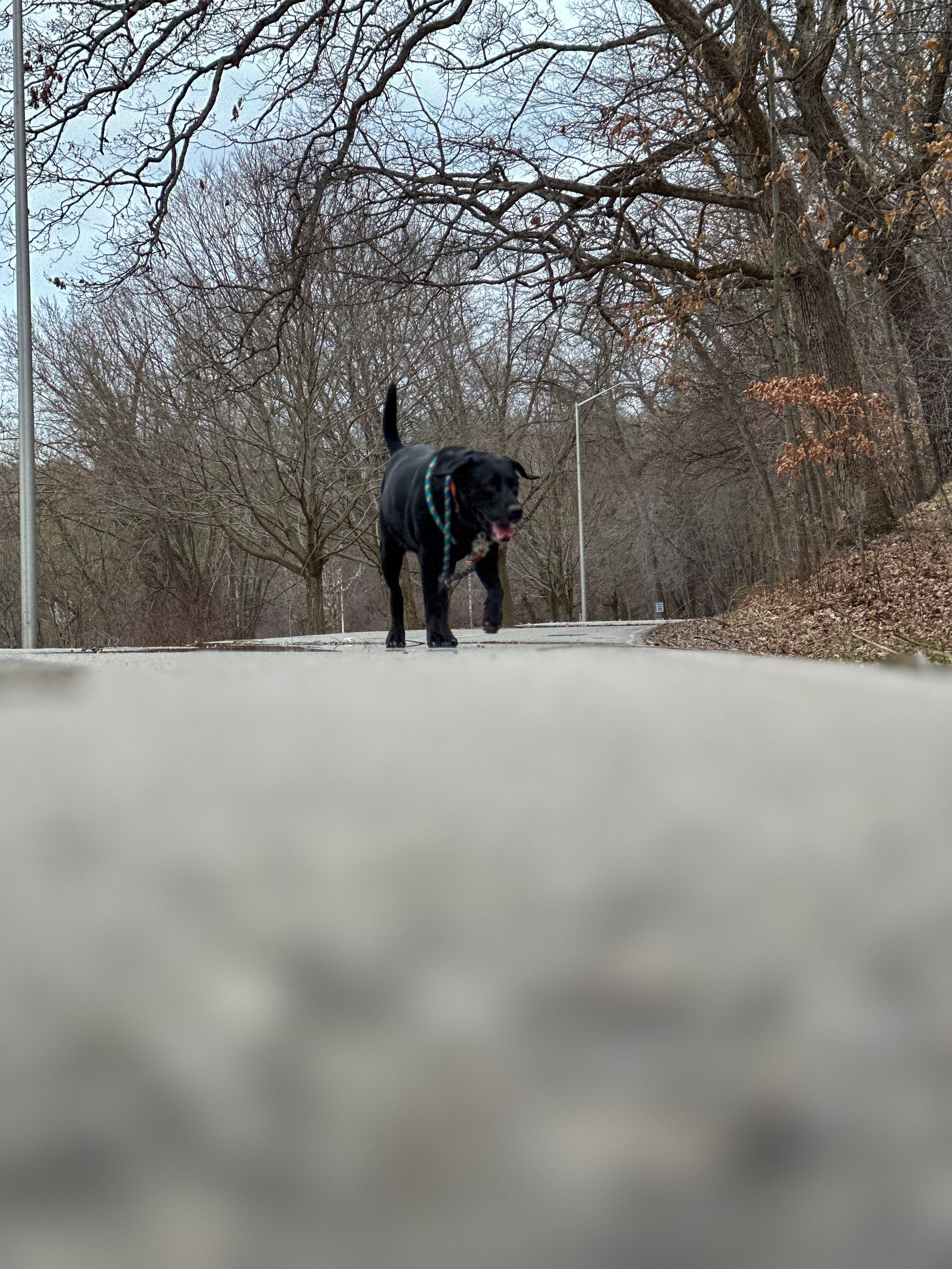 Ground level, walking the path toward camera