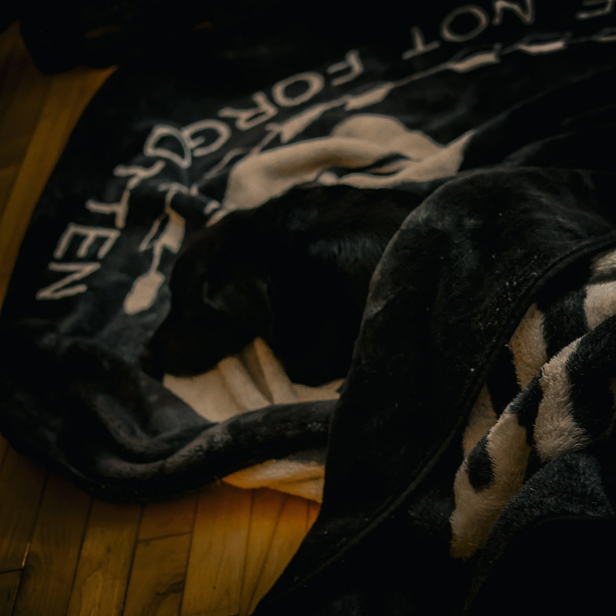 "Not Forgotten" blanket, curled up on the floor
