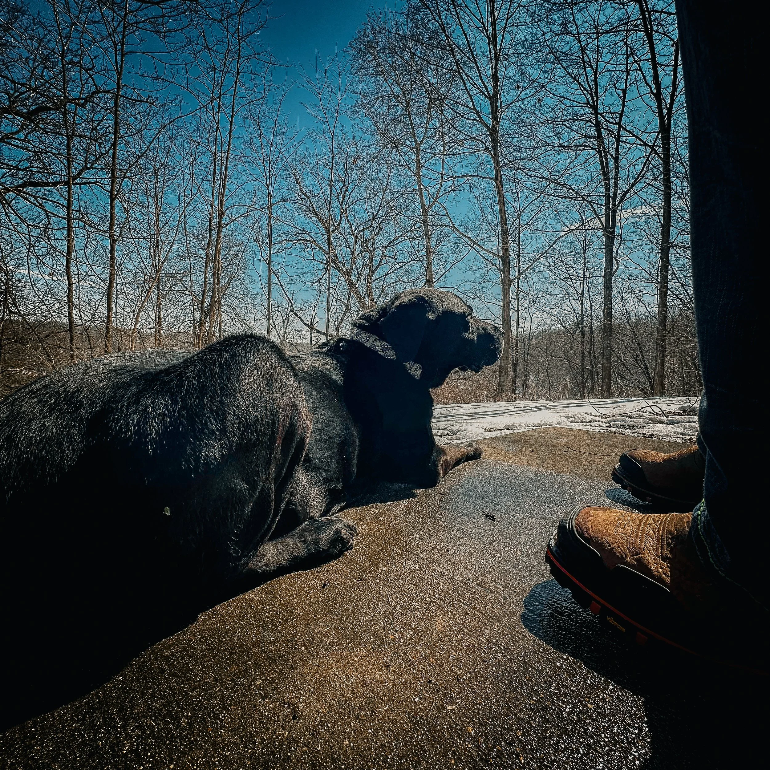 Color version of the same moment, blue sky above