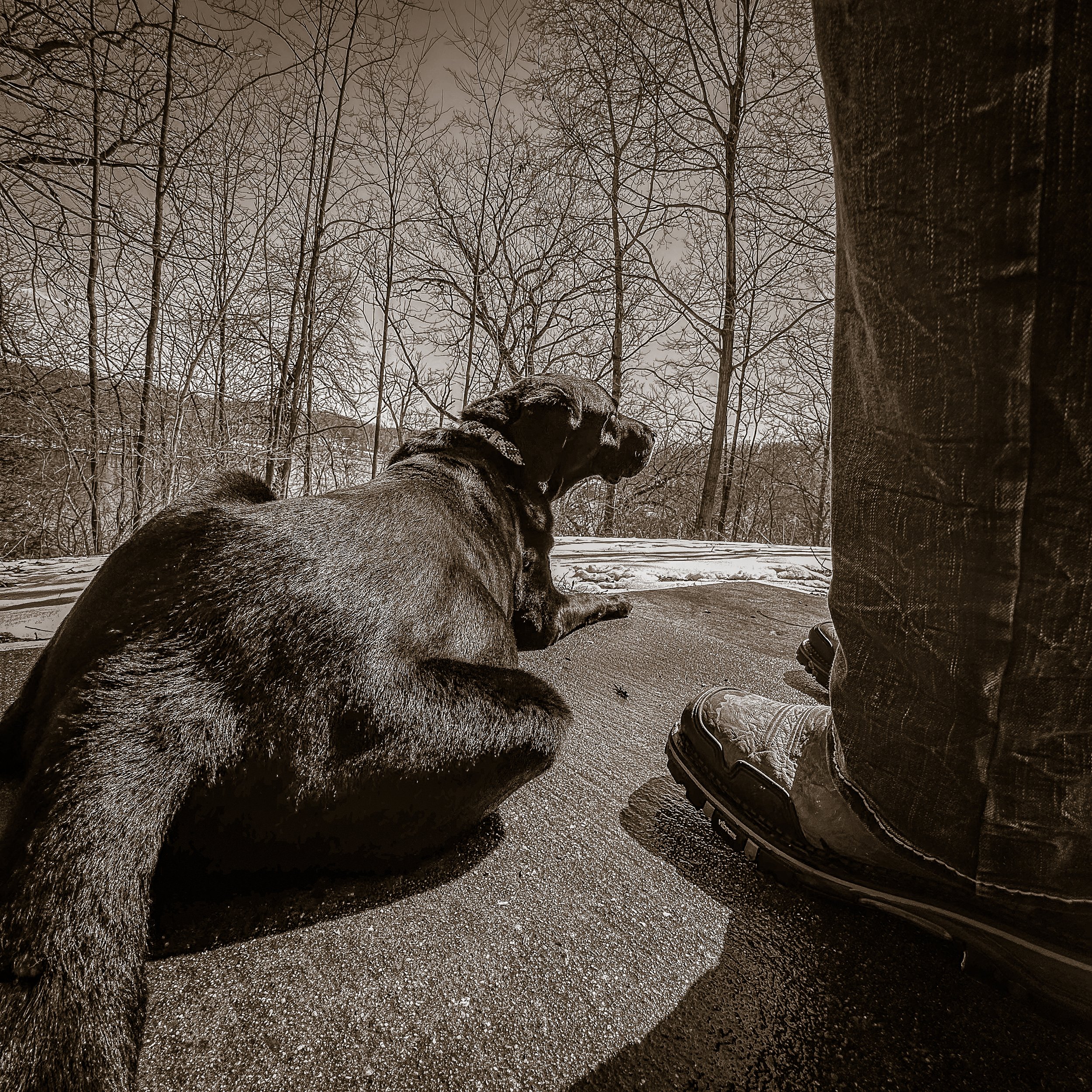 Sepia, her beside your boots, resting together outside