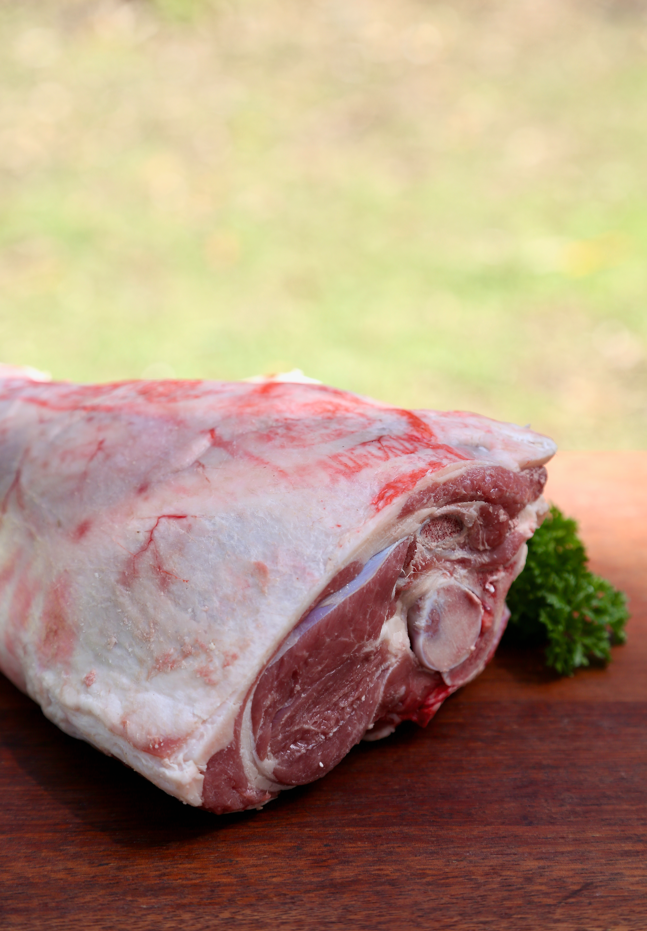 Lamb Leg Full 2.png