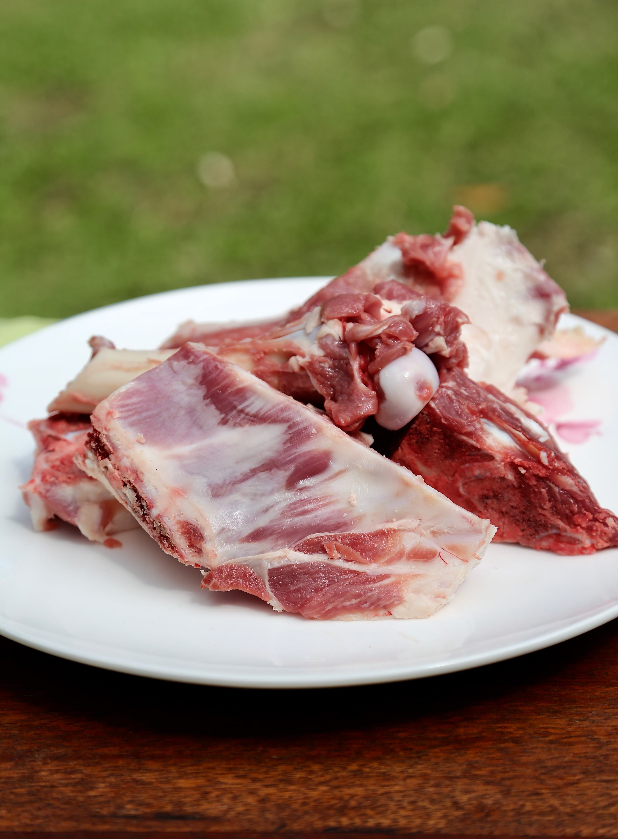 Lamb Bones 2.png