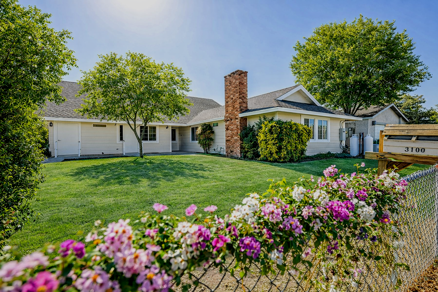A suburban house with a well-maintained lawn, surrounded by a chain-link fence and flowering plants, two large trees, a brick chimney, and clear blue sky.