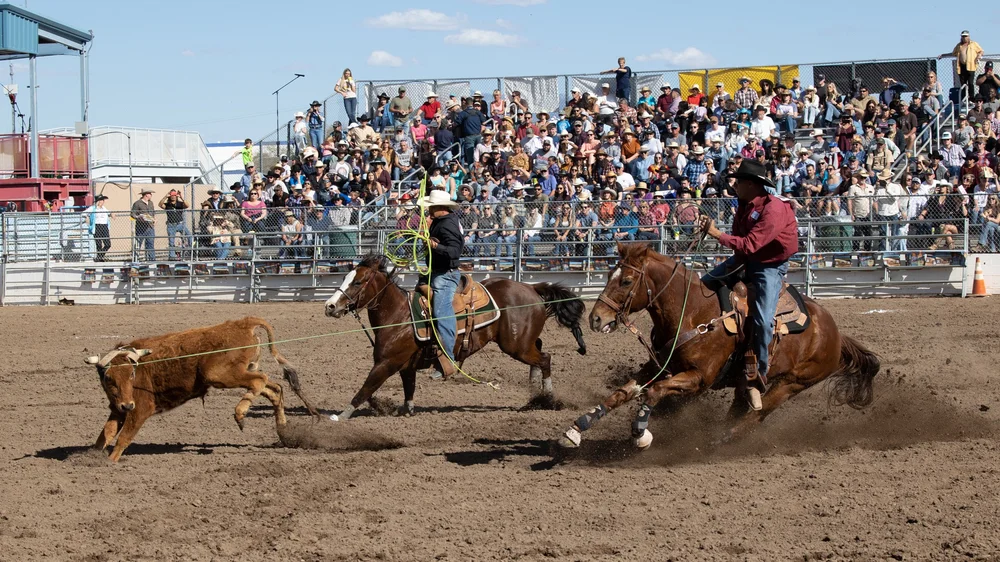 All Events — Tucson Rodeo