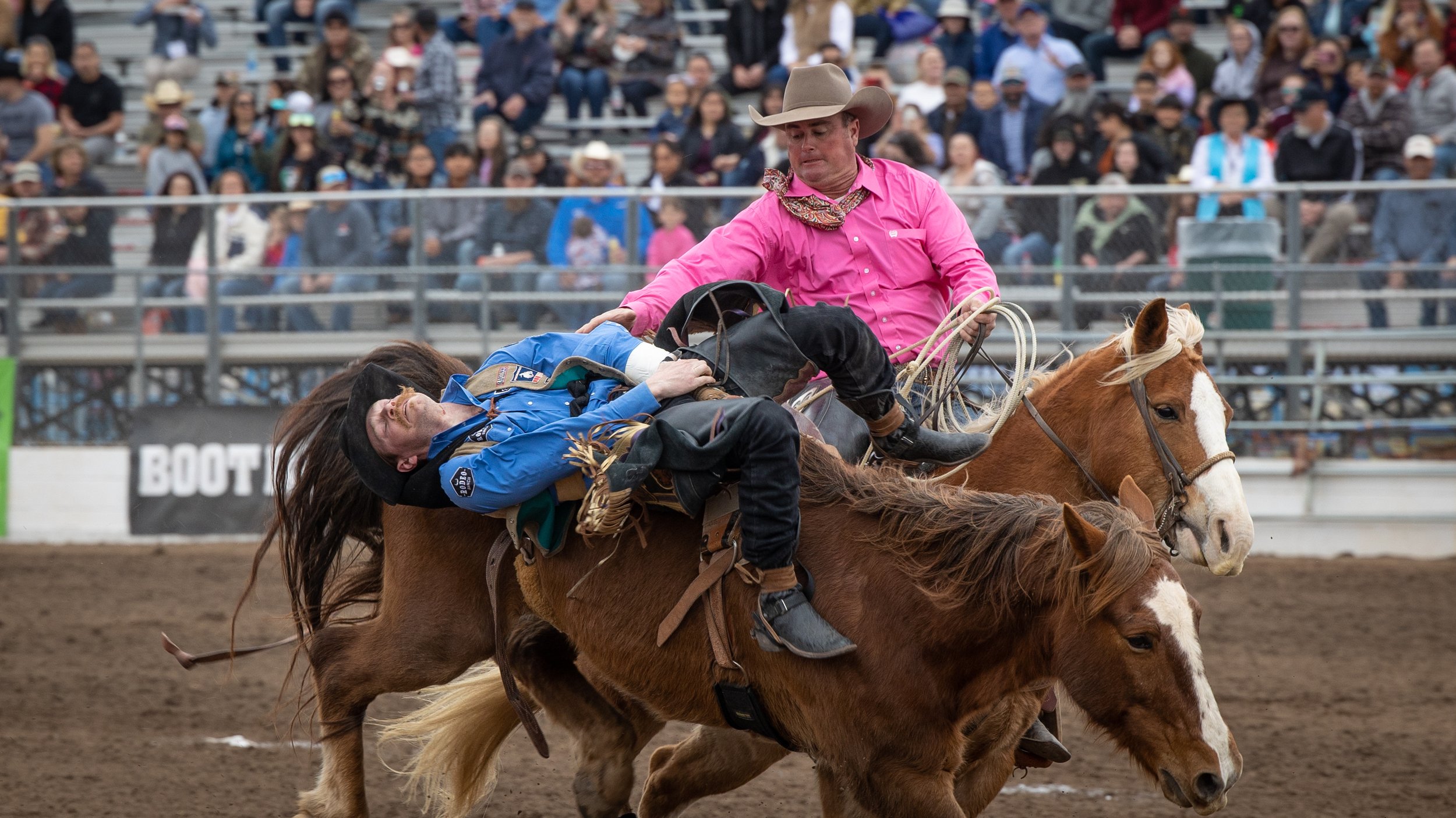 Volunteer | Join Us and Contribute Today — Tucson Rodeo