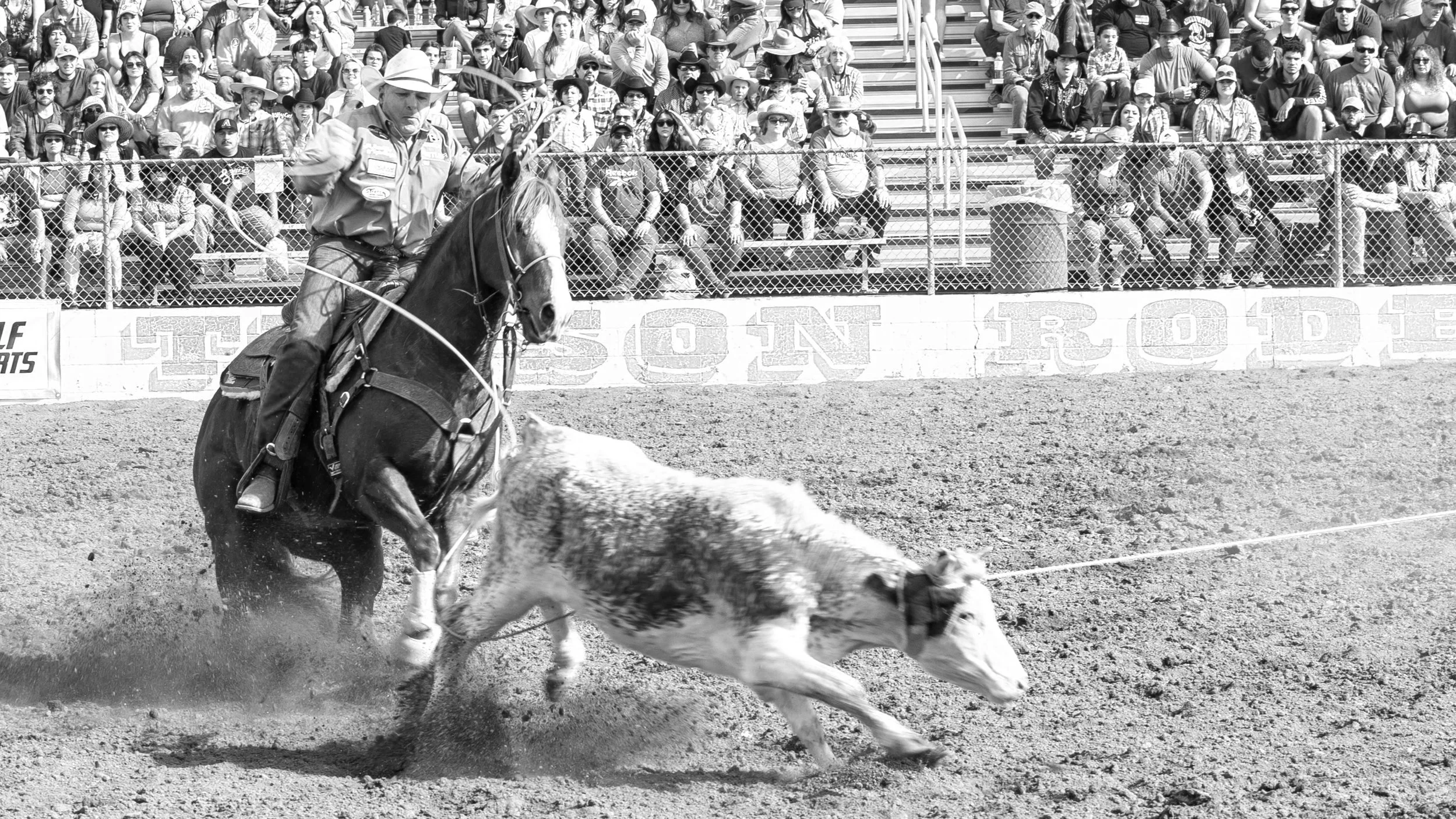 Team Roping — Tucson Rodeo