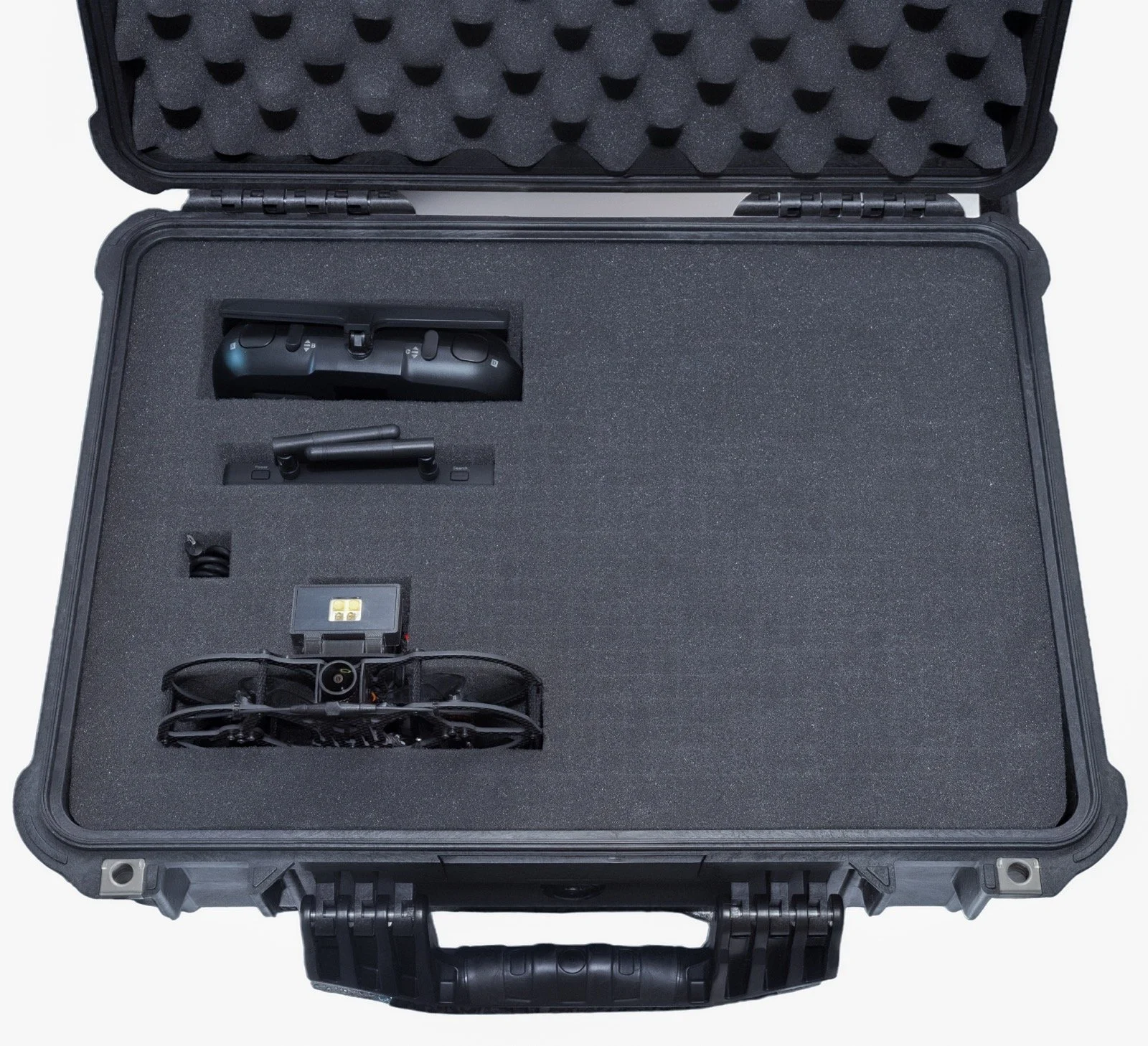 CricketinCase copy.jpg