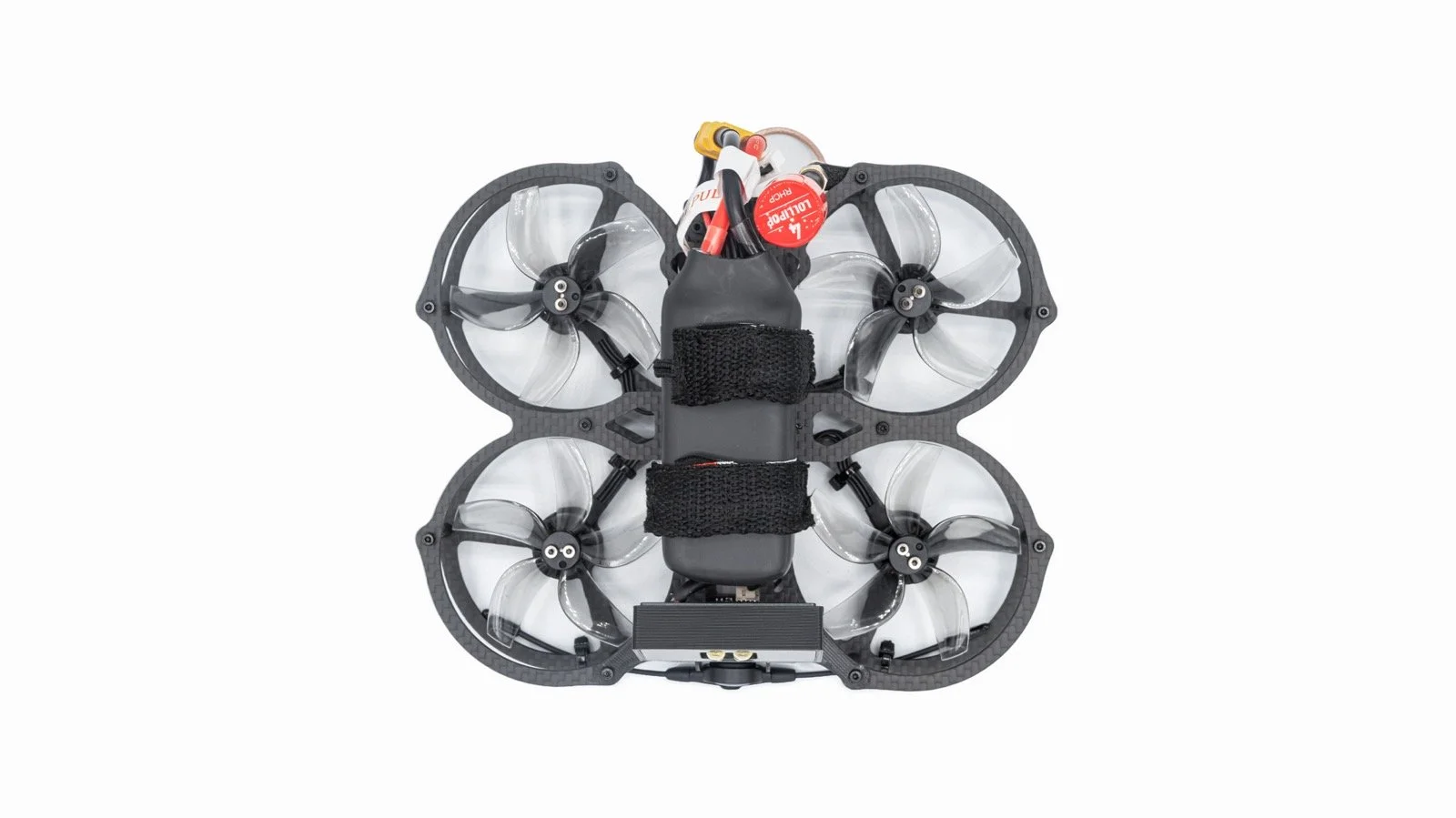 crickettopview copy.jpg