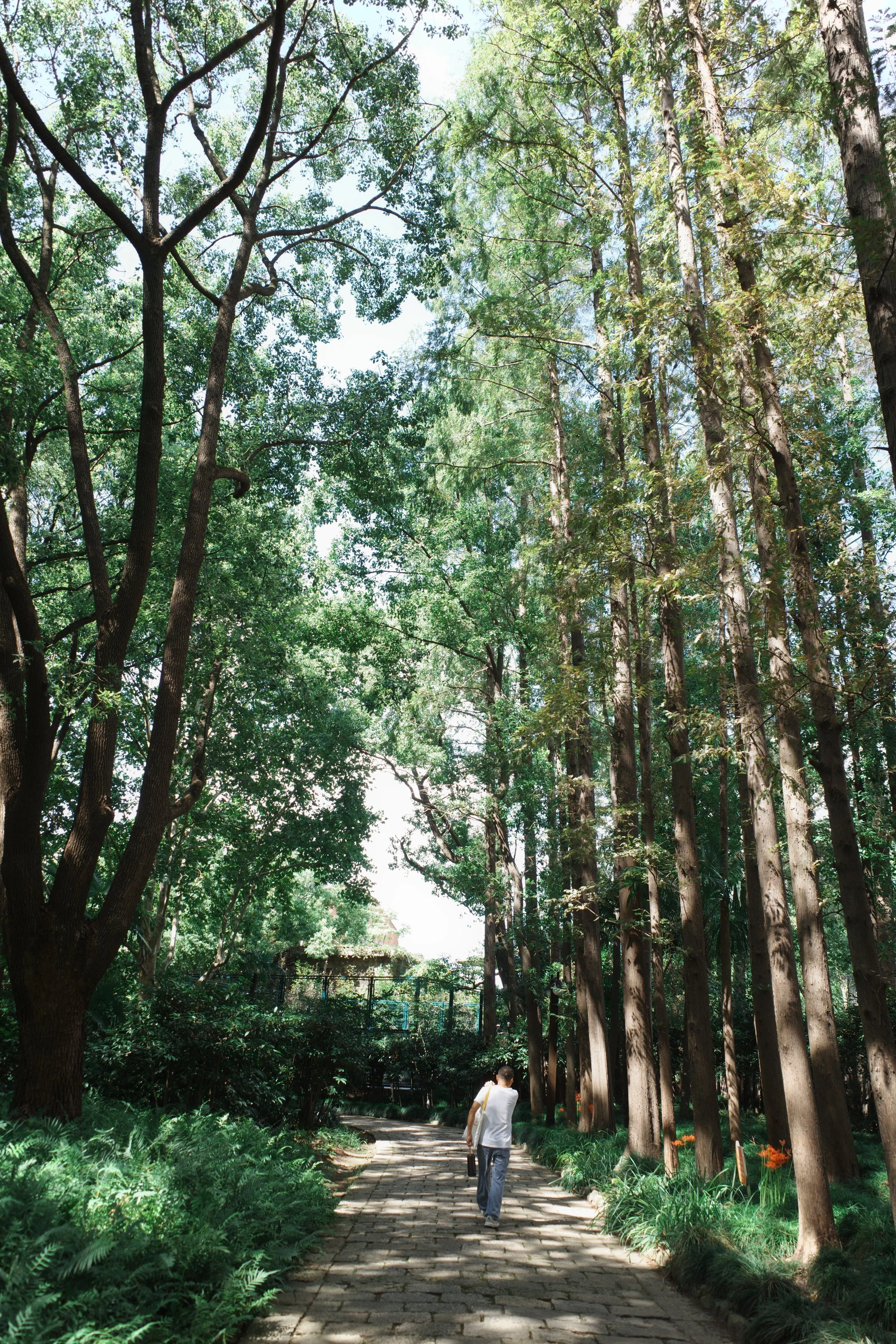 Shanghai Fuxing Island