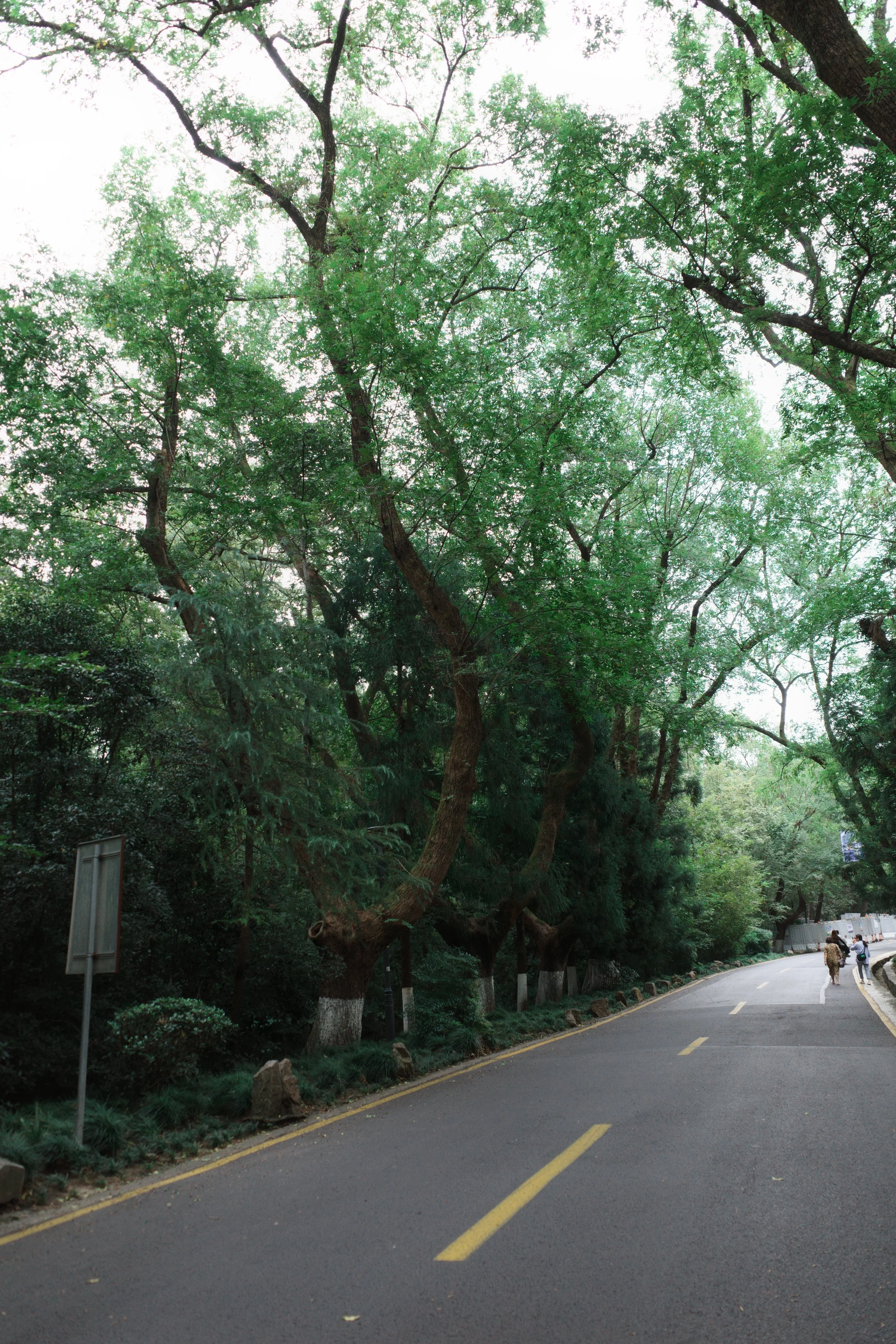 Nanjing Ming Xiaoling Mausoleum