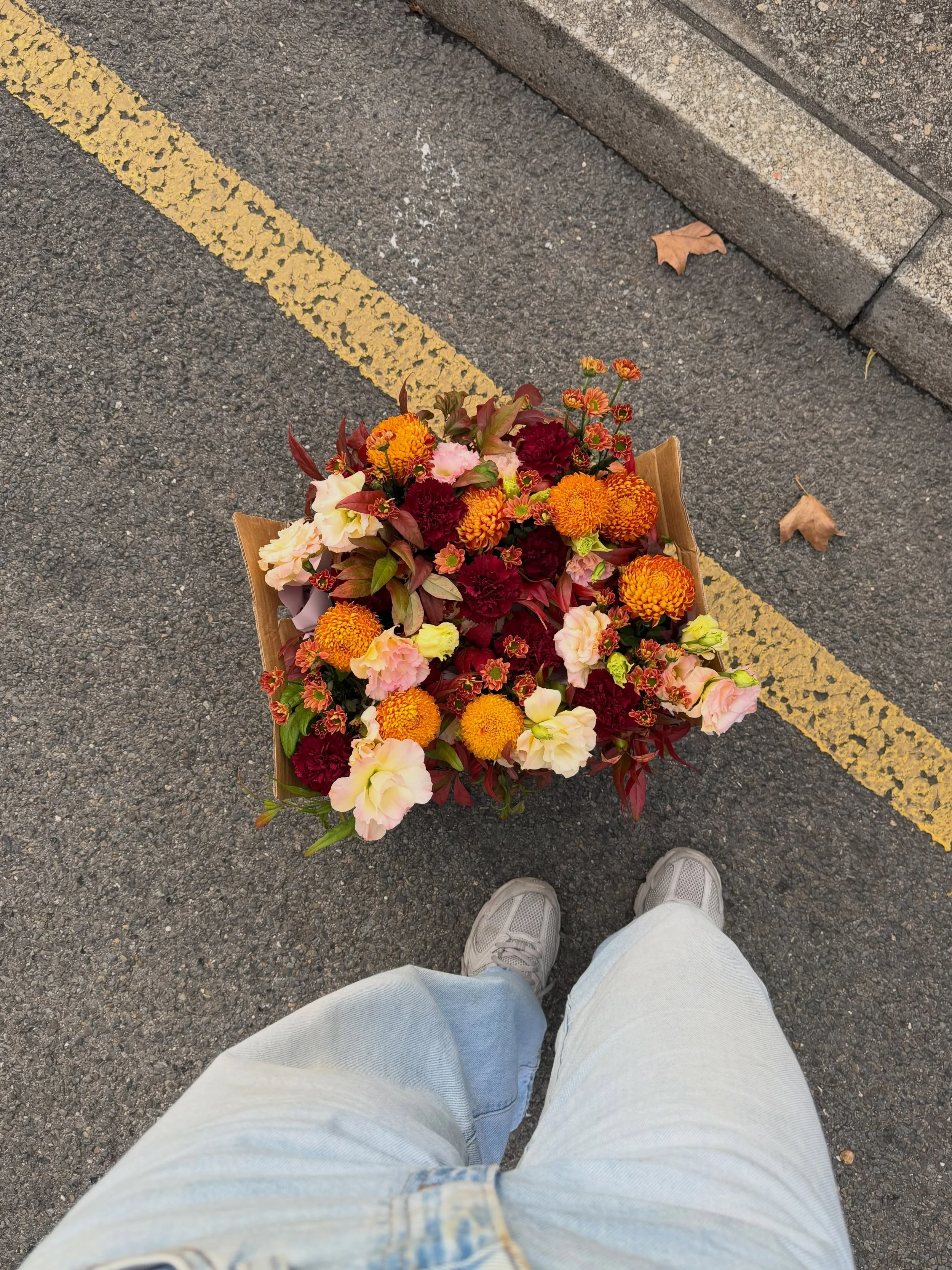 Autumn vibe 🍂🍁