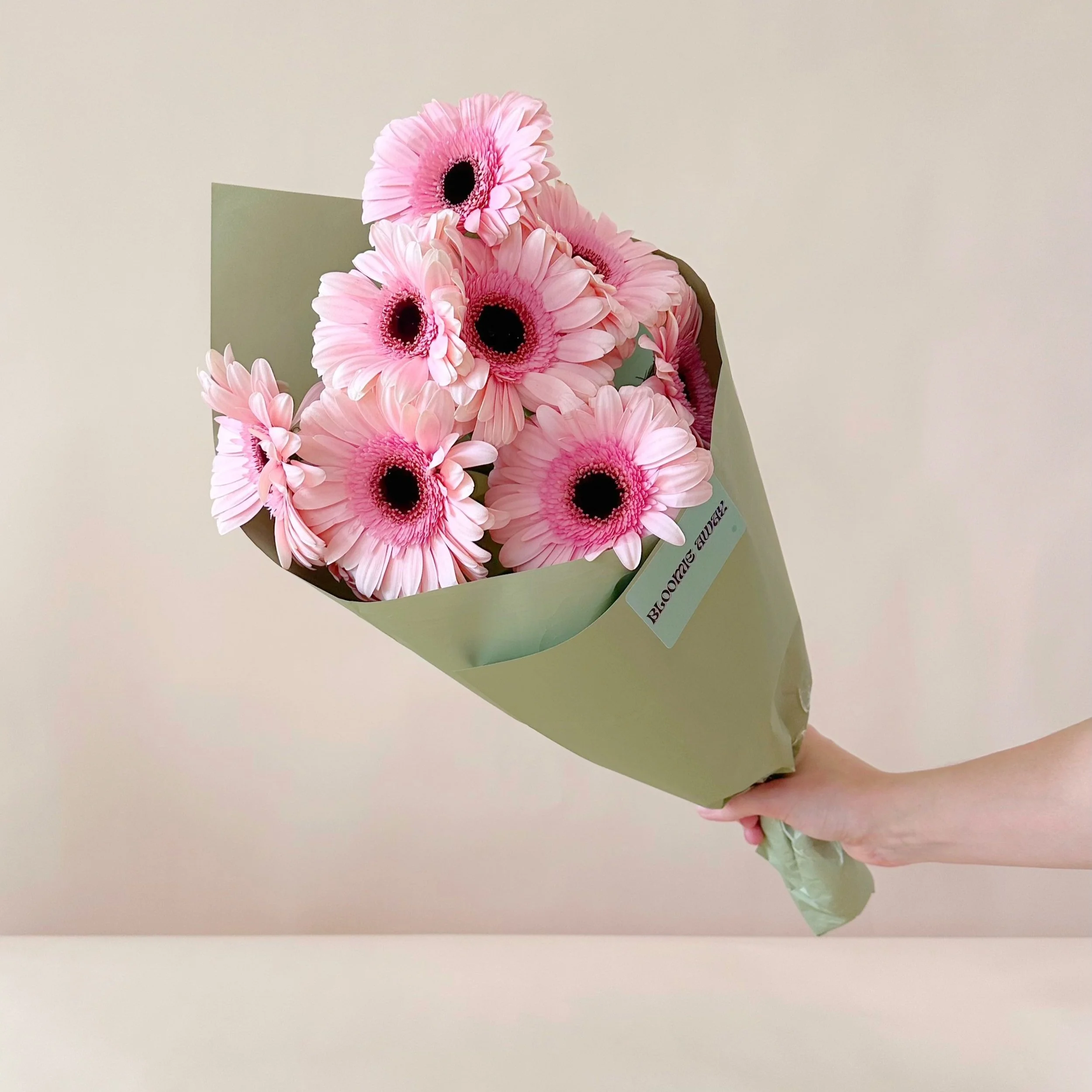Daily Gerberas