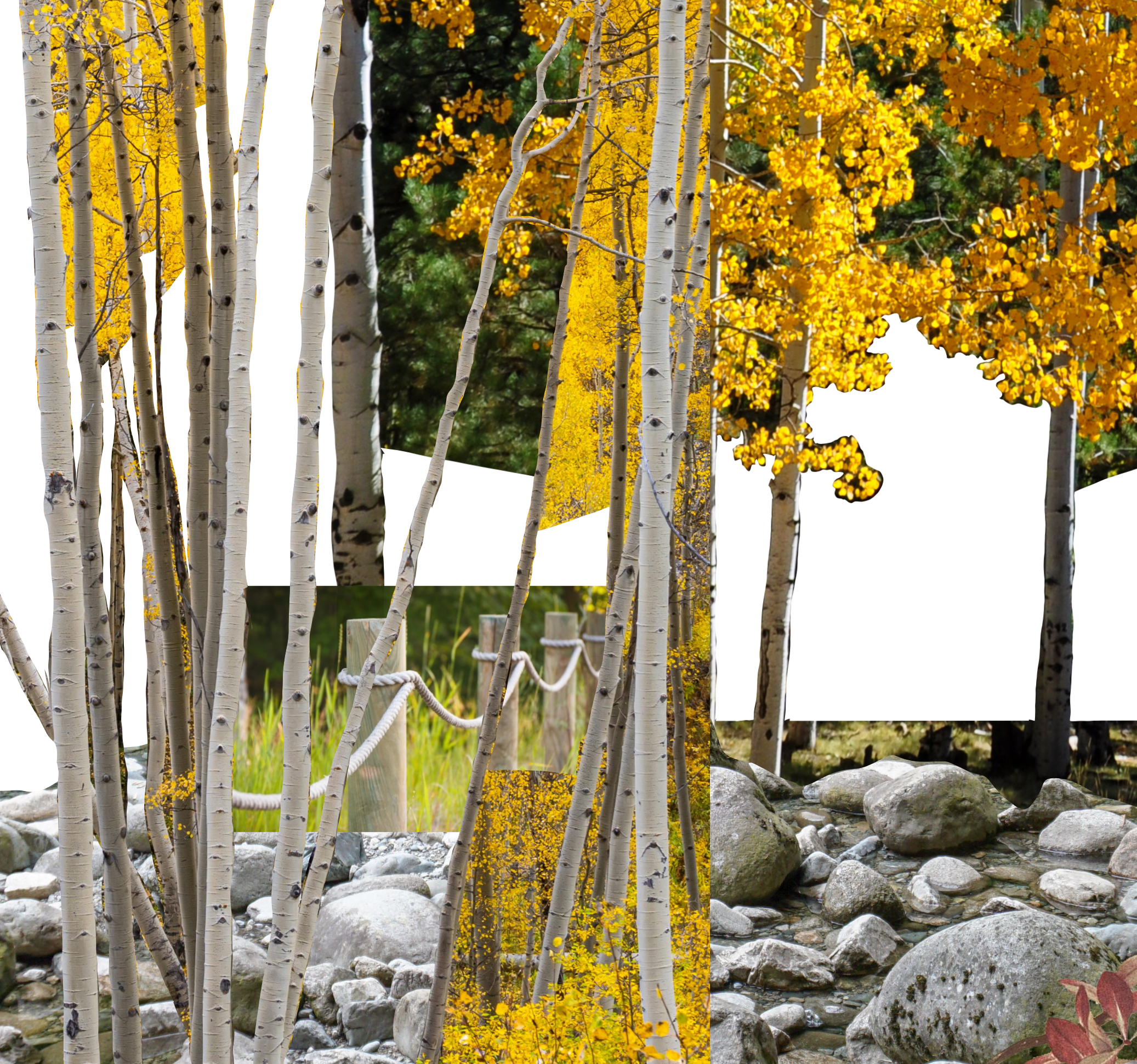 HAIN - Landscape Project. Mini-scene garden for a restaurant in a montane town