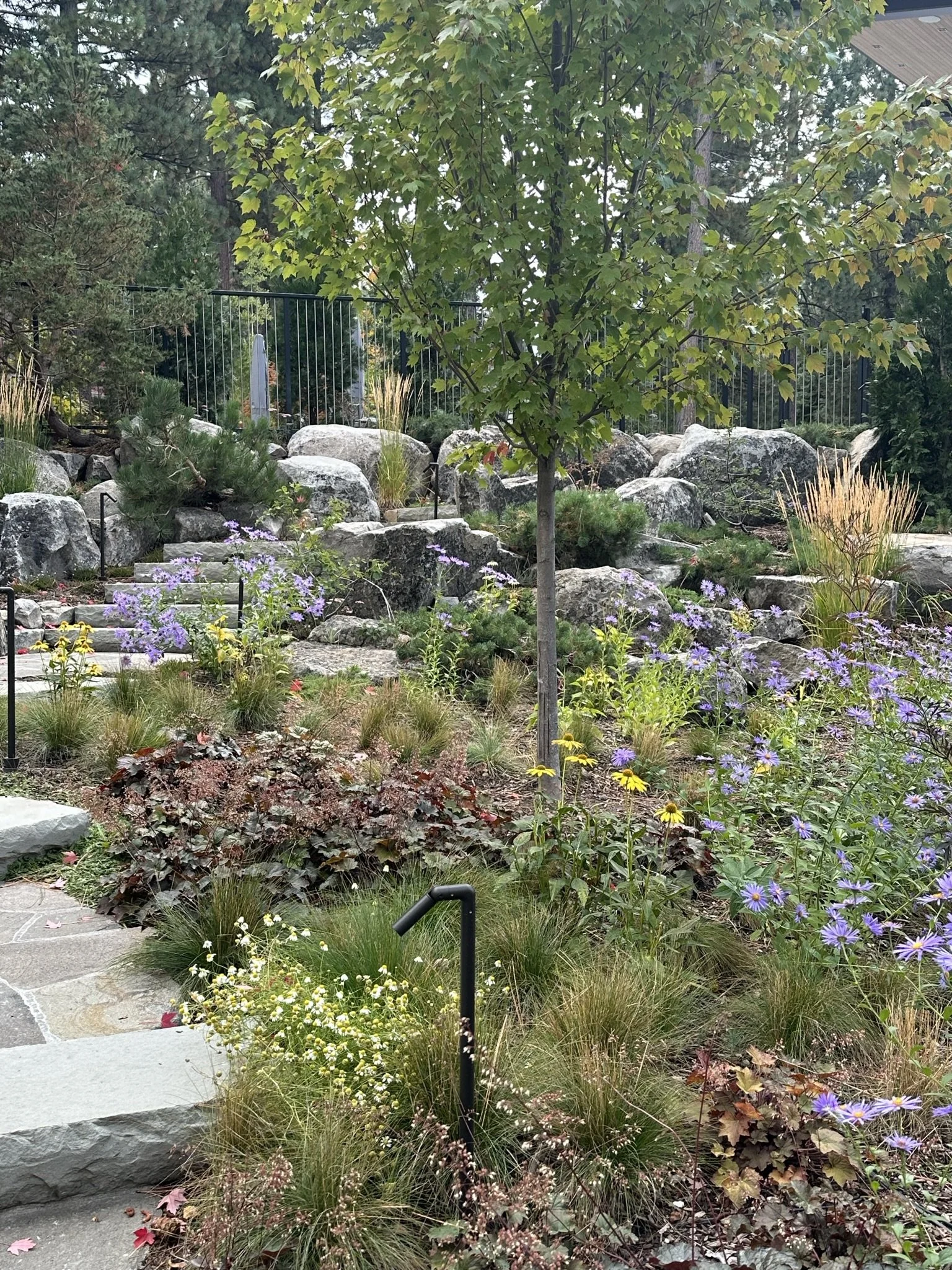 OUTCROP - Landscape Project. Rocks, flowers, grasses in an moutain environment.