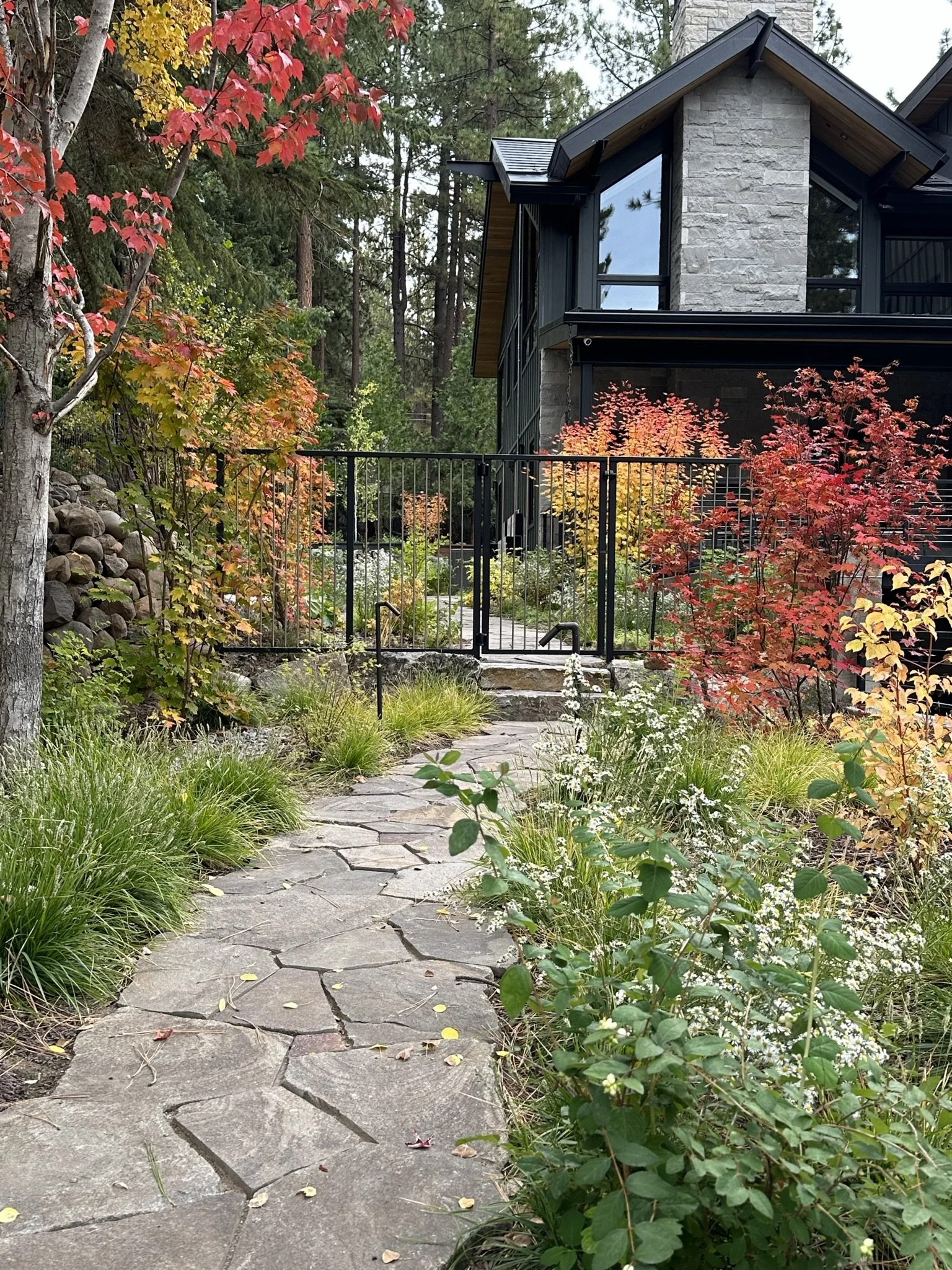 Early fall scene of side entrance, featuring asters and vine maples