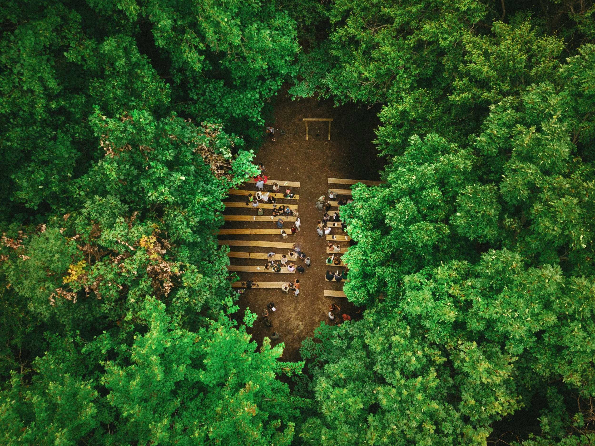 Aerial of woods ceremony.jpg