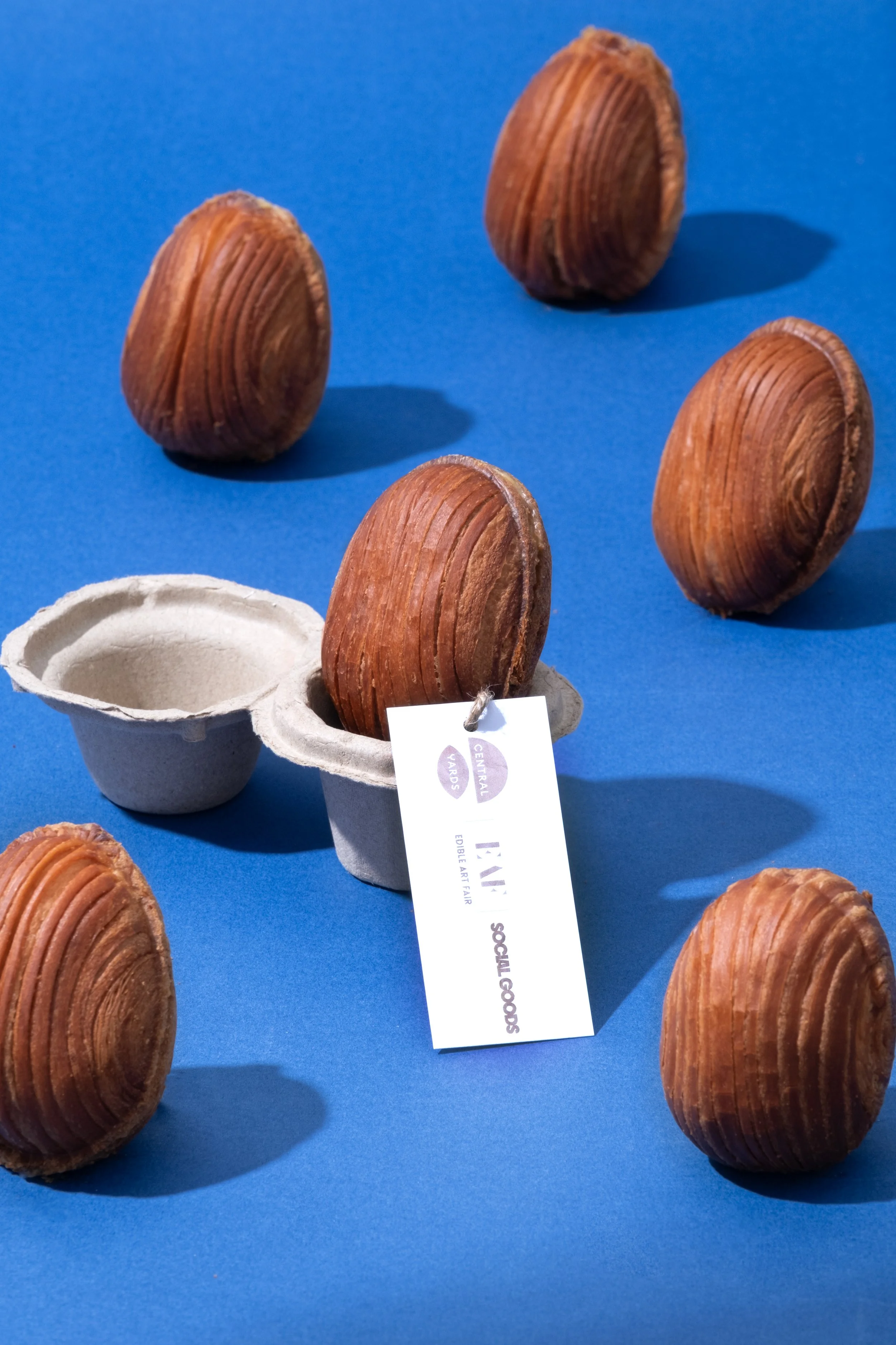 Four brown, ridged scallop shells on a blue surface, with one shell placed in a white egg carton next to a sale tag.