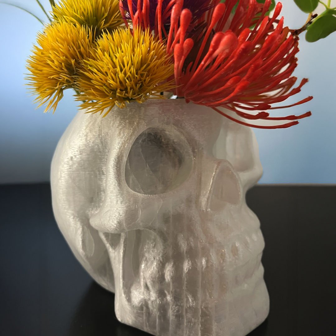 Gallery_Skulls_1x1V5.jpg