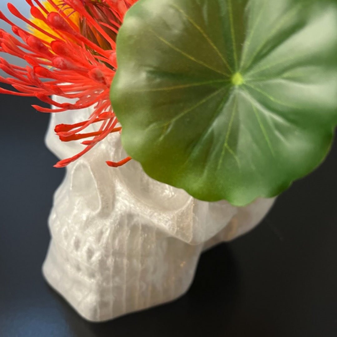 Gallery_Skulls_1x1V7.jpg
