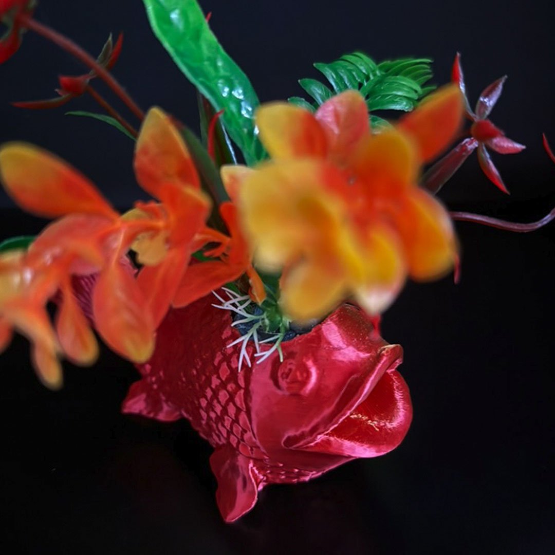 Gallery_Fish_1x1V19.jpg