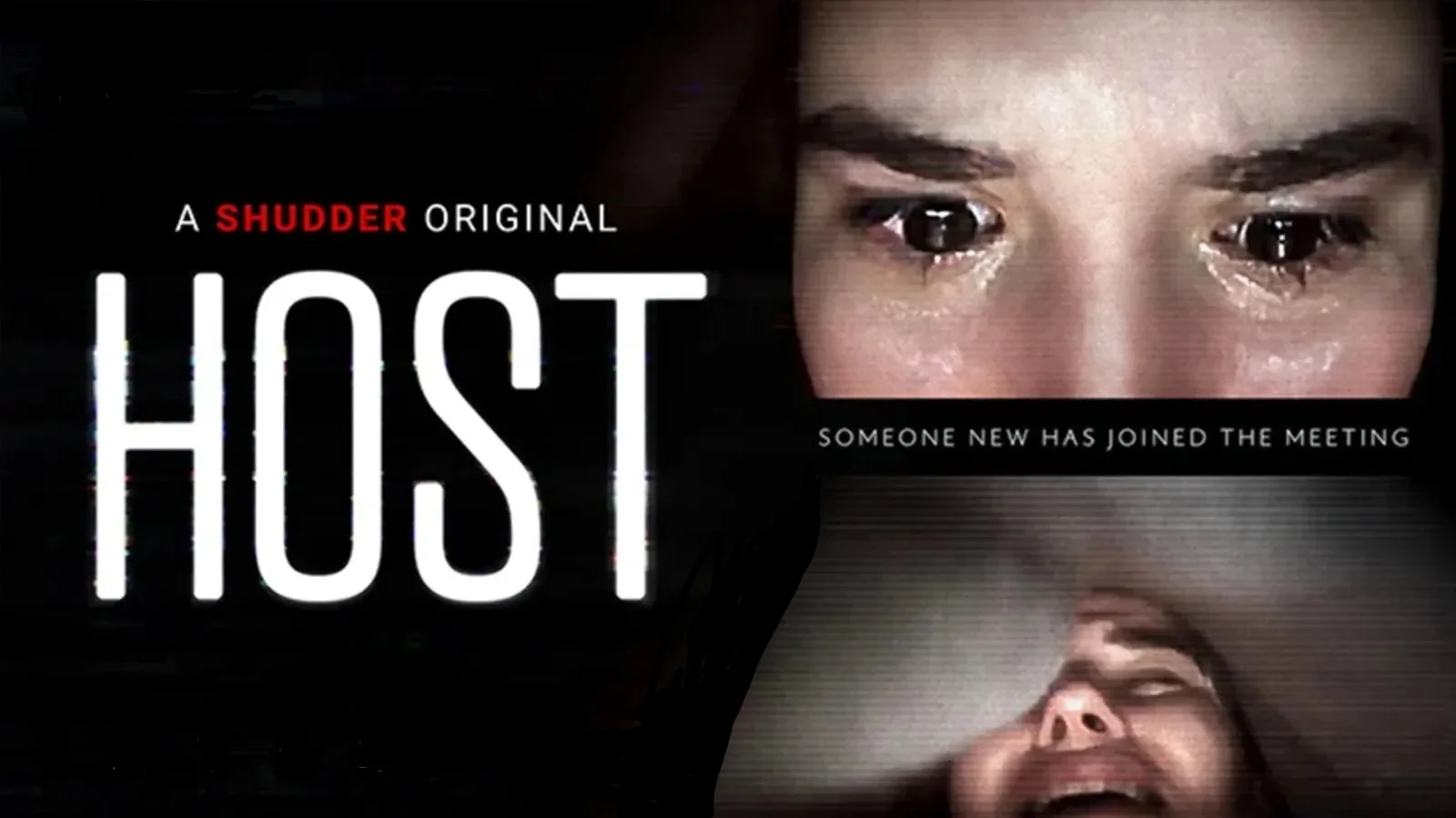 Promo poster for the horror movie HOST