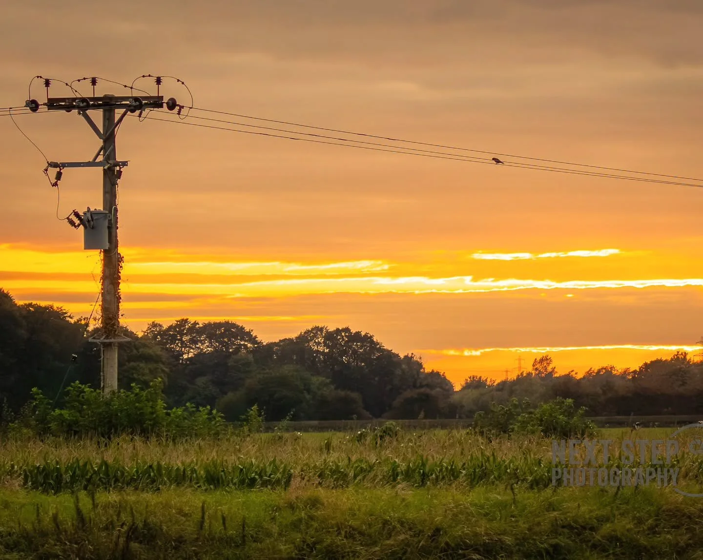 Happy Thursday!

I hope you're having a great week!

#photography #photographer #photo #art #beauty #cumbria #sunset #sky #beauty #sunsetphotography #thursday #skylovers
