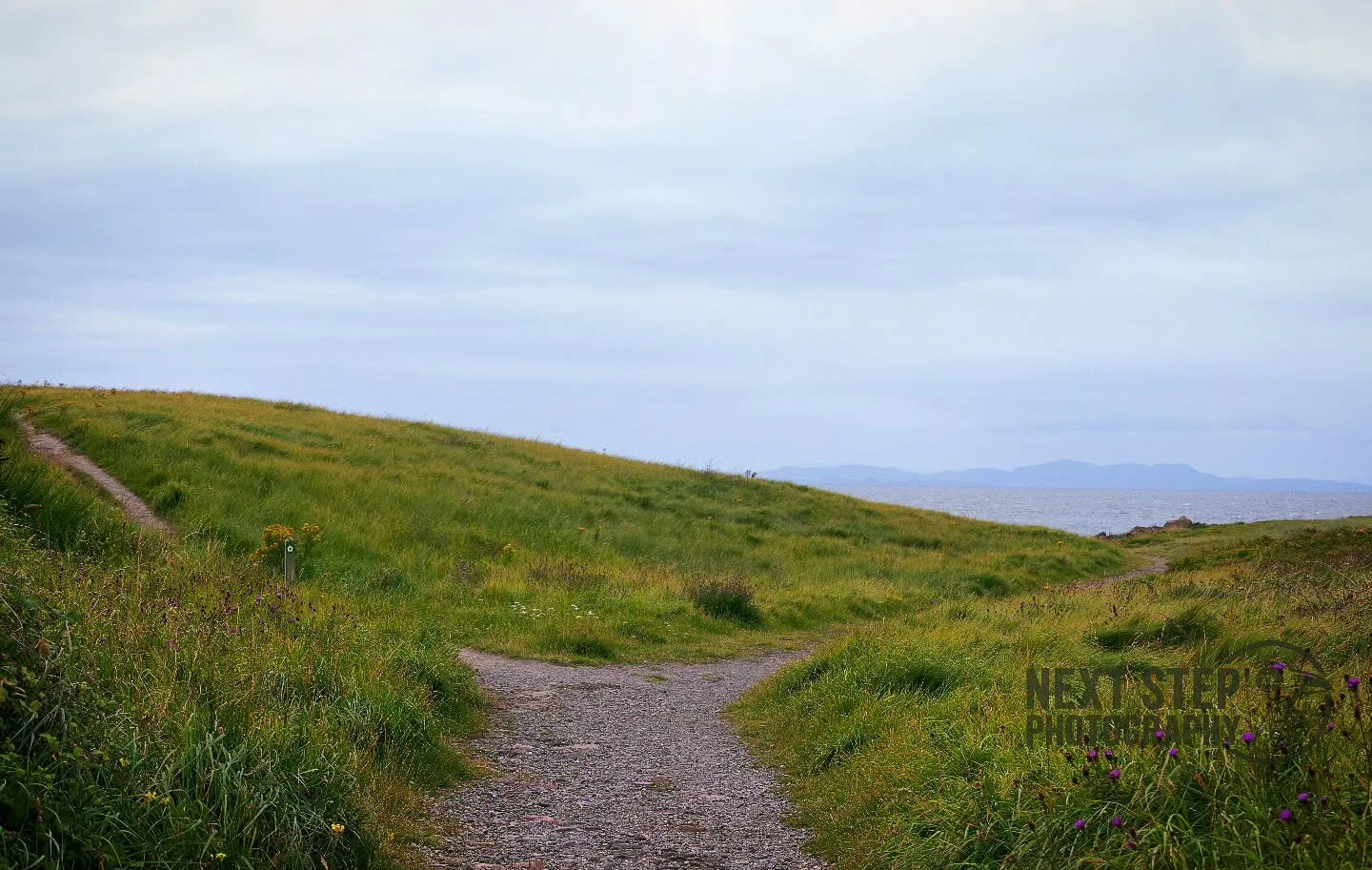 It's nearly the weekend!
Where will your adventures take you?
#photography #photographer #photo #beauty #nature #world #exploring #travel #art #natural #adventure #path #thoughts #Friday #weekend