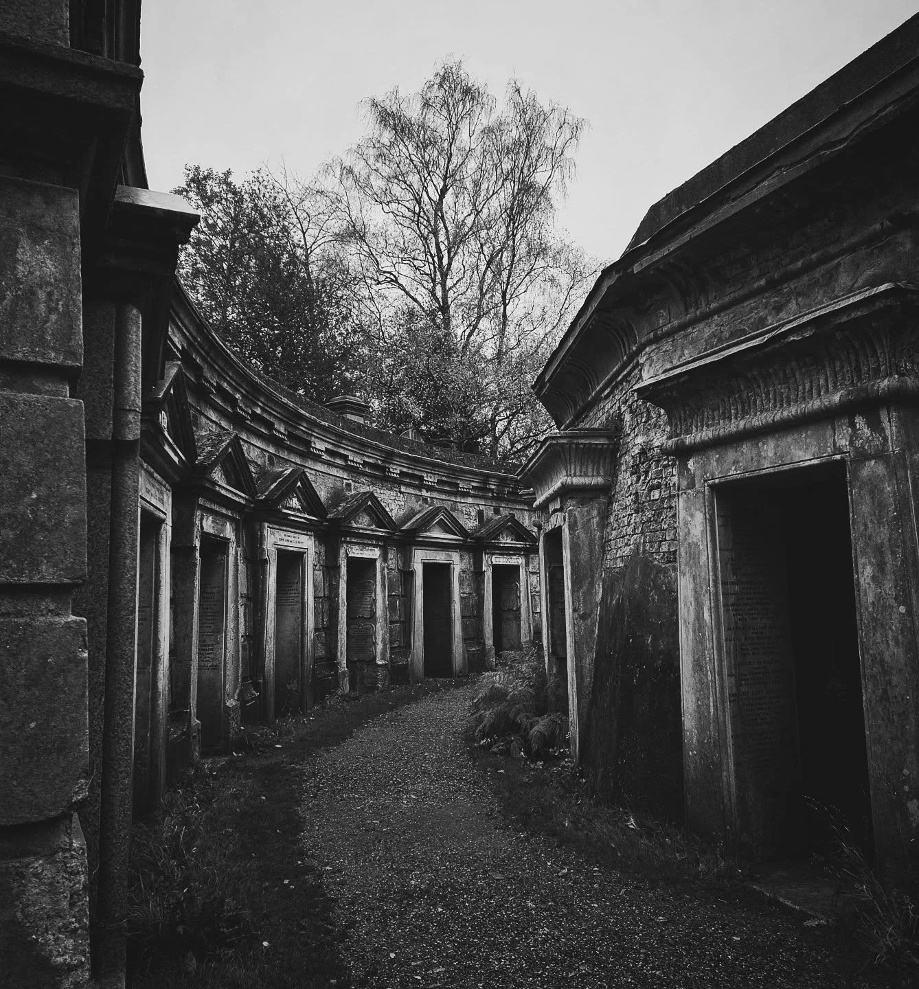 Happy Monday!

I hope you're having a great start to the week!

I love capturing shots that evoke gothic vibes and feelings, so I hope this one leaves you feeling suitably spooked! 

There's something beautiful about the stillness, but also, the arch